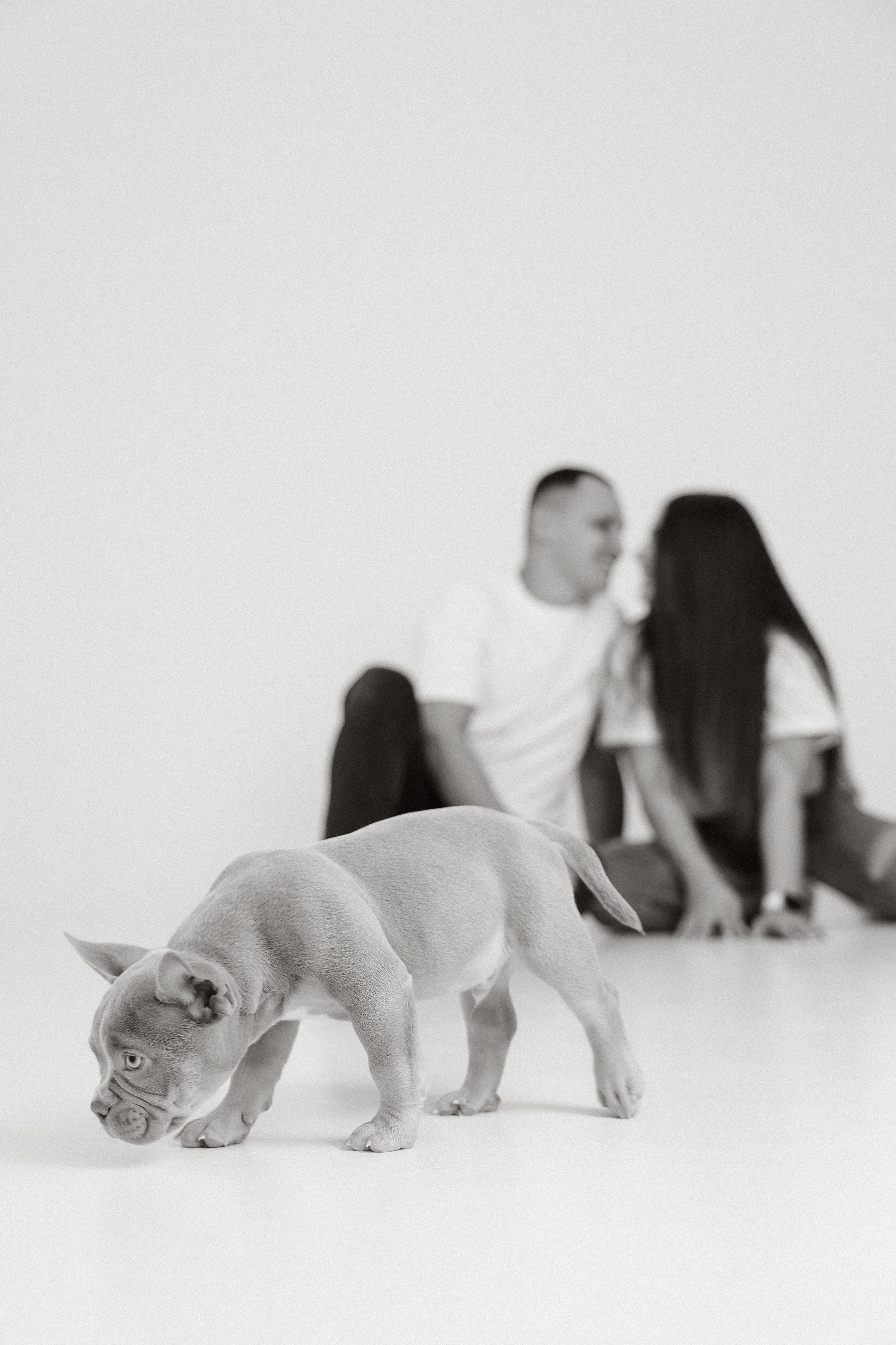 Семейная съемка с хвостиком. Фотограф Юлия Герасимова Иркутск