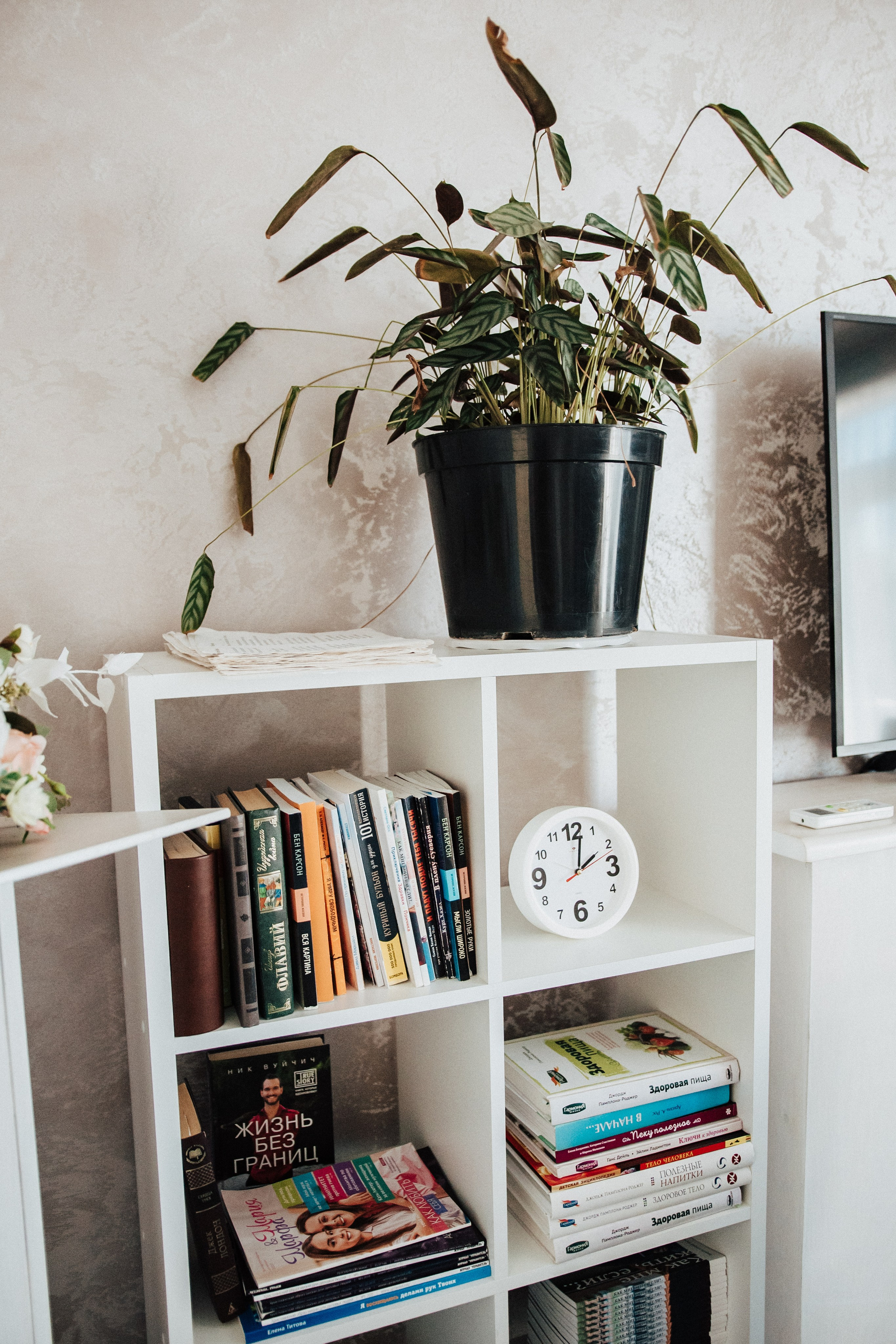 Санаторий «Божий дар». Фотограф Настя Конник | Пятигорск | Эльбрус | Домбай | Архыз