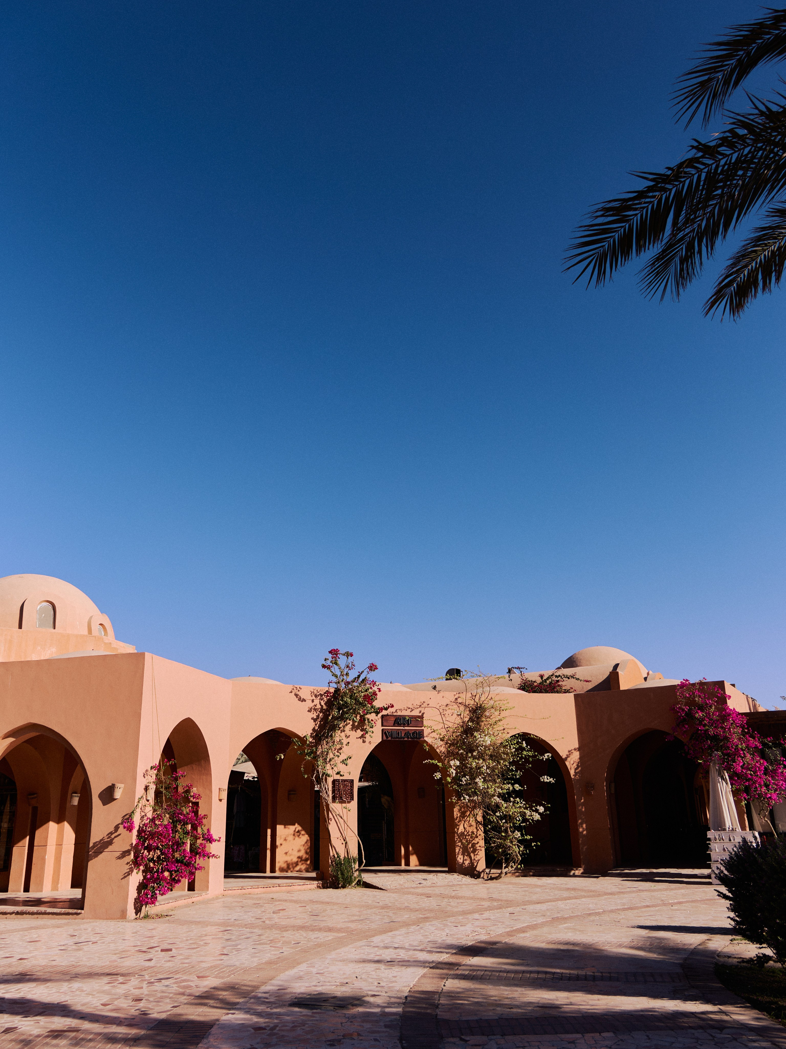 Другое 3. Jorgis — фотограф в Хургаде / обучение фотографии