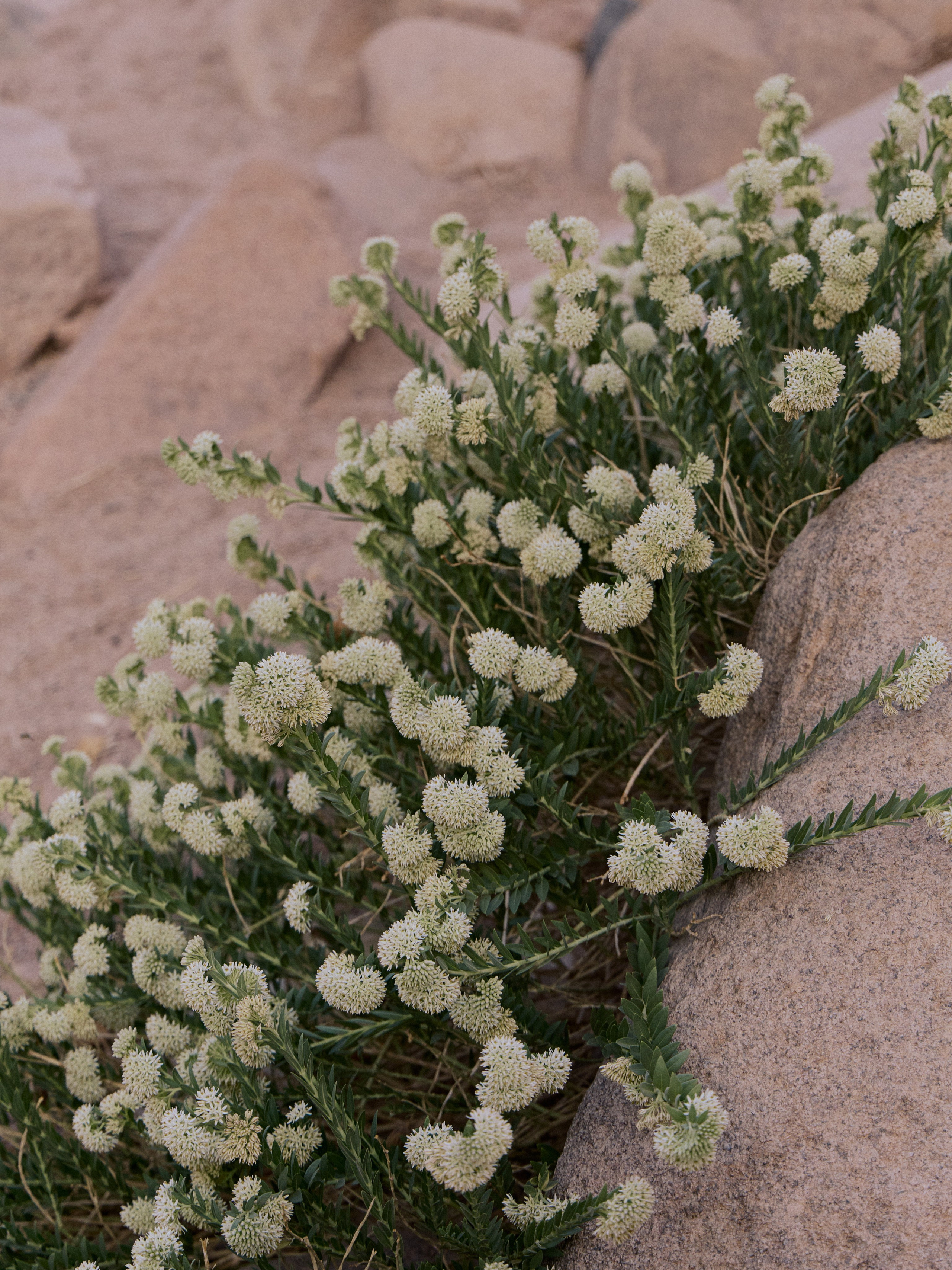 Другое 3. Jorgis — фотограф в Хургаде / обучение фотографии