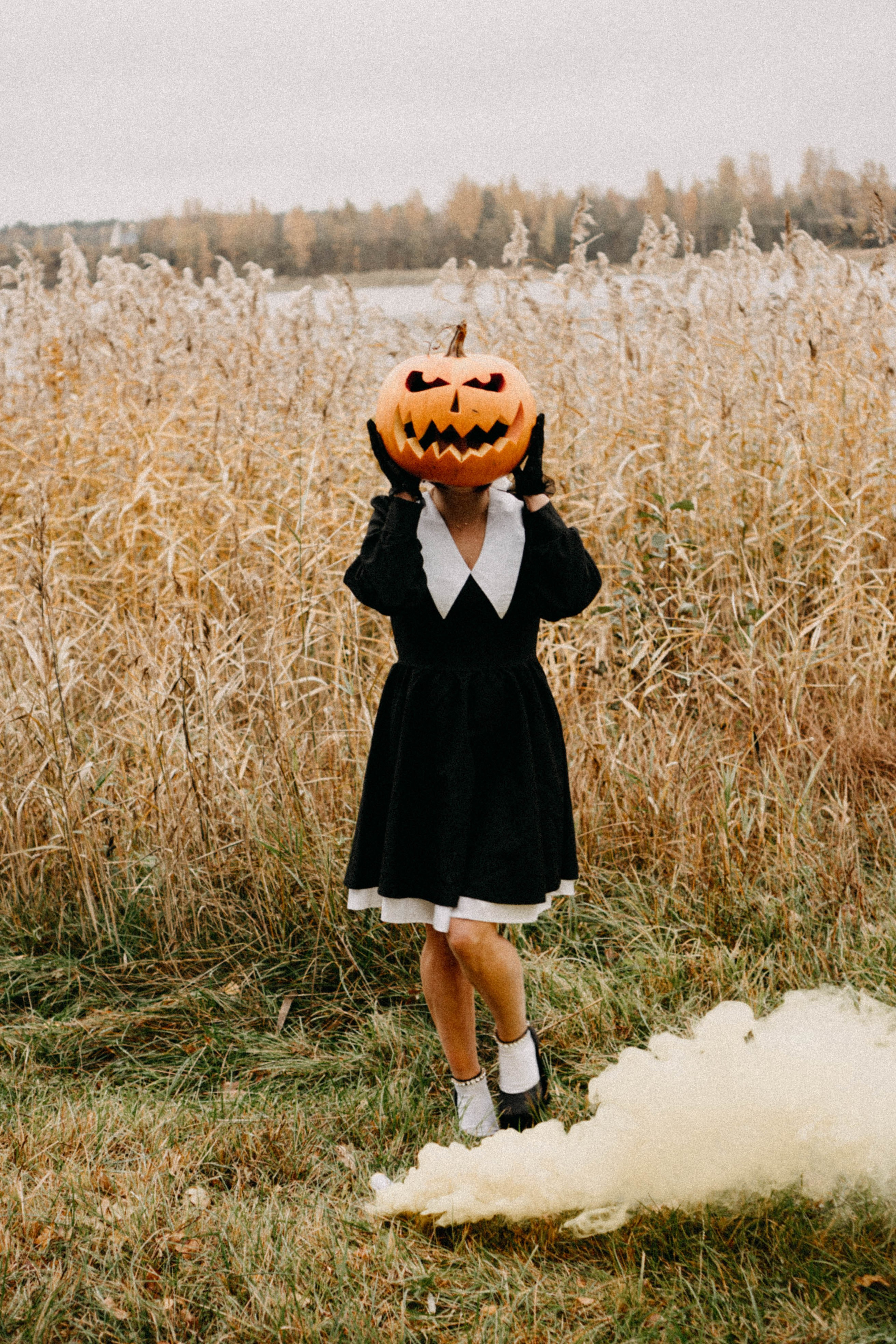 Осеняя. Профессиональный фотограф, Санкт-Петербург — Виктория Богомолова