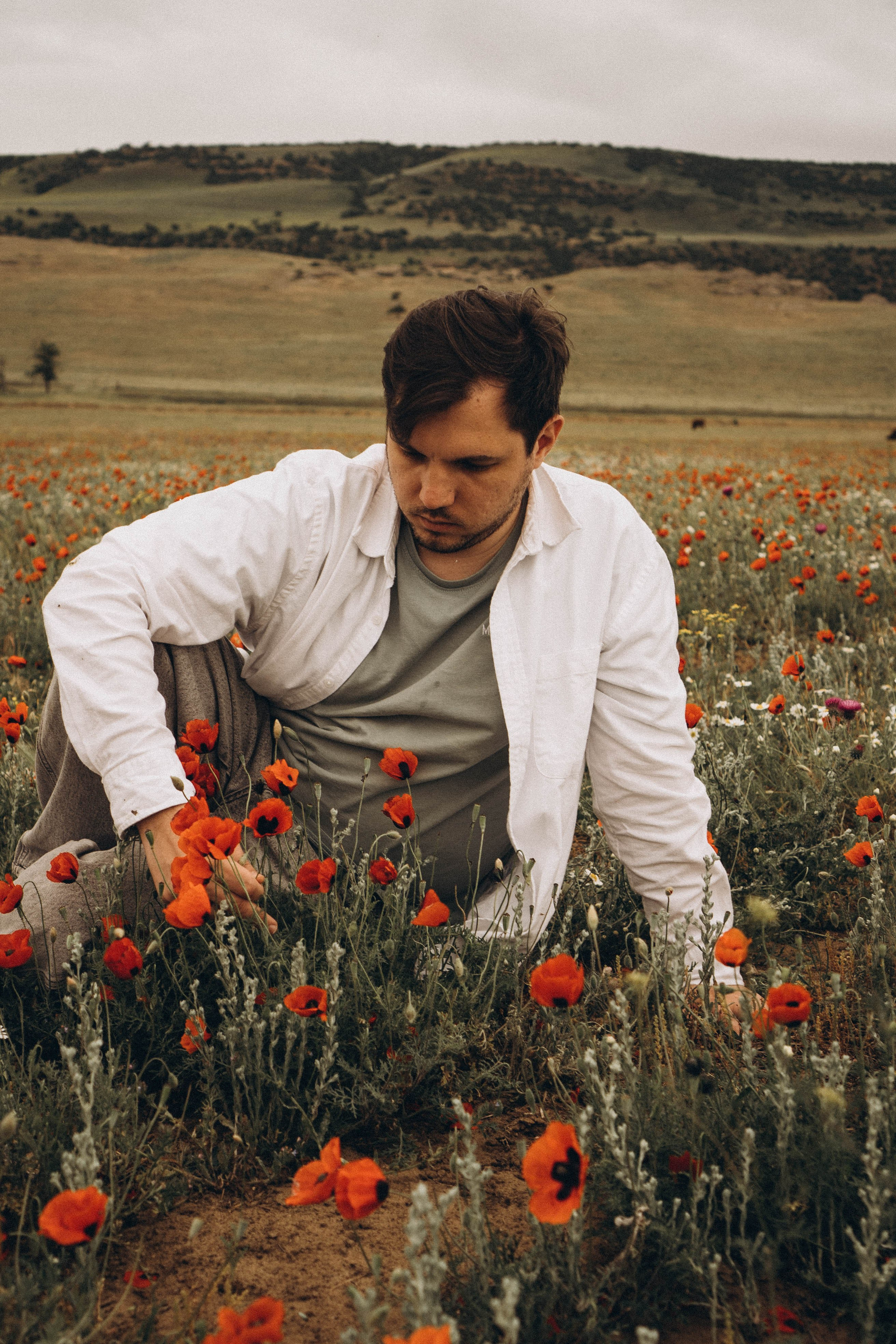 Маки. Профессиональный фотограф, Санкт-Петербург — Виктория Богомолова