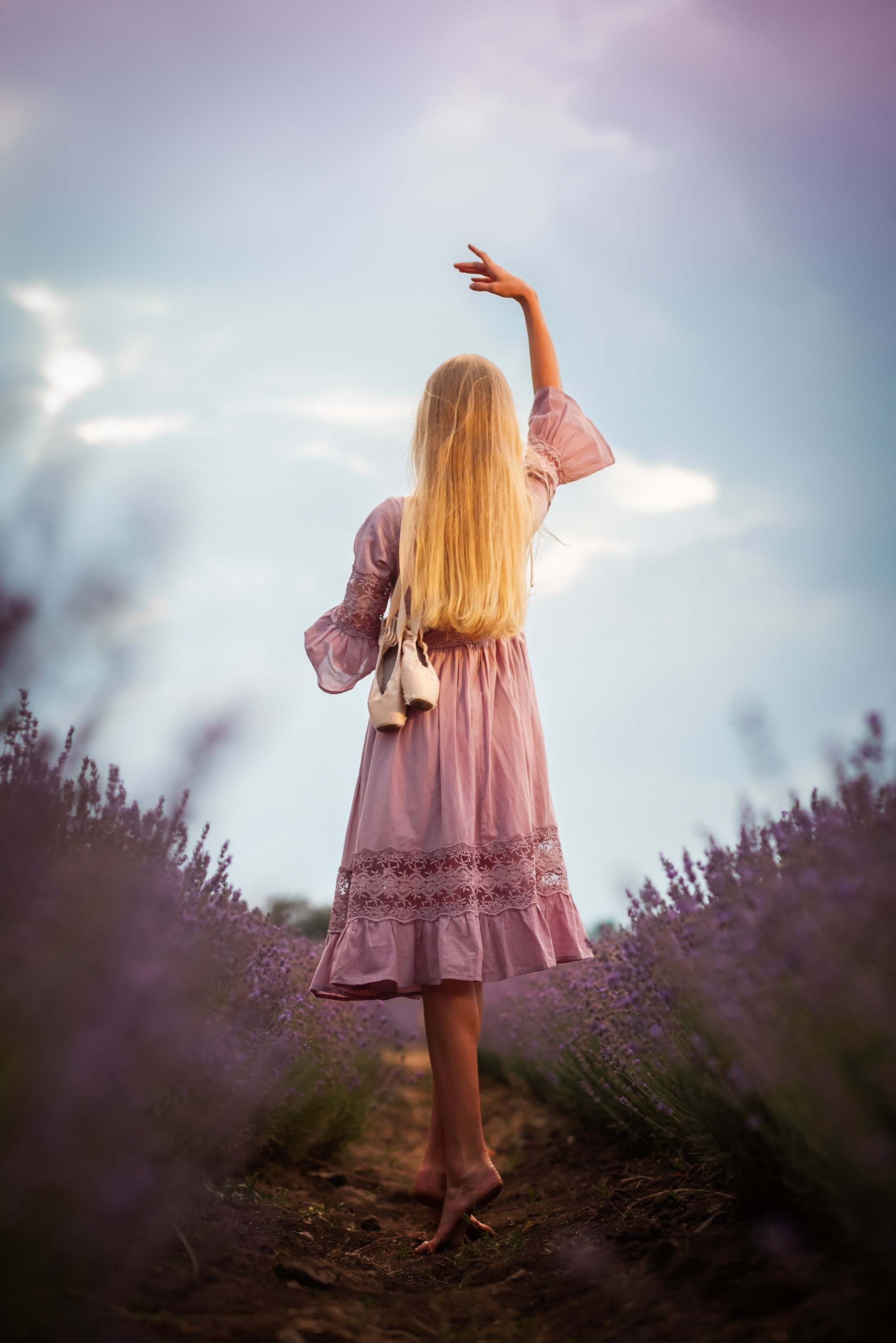 Лаванда в Болгарии, Фотограф в Болгарии, Фотограф в Созополе