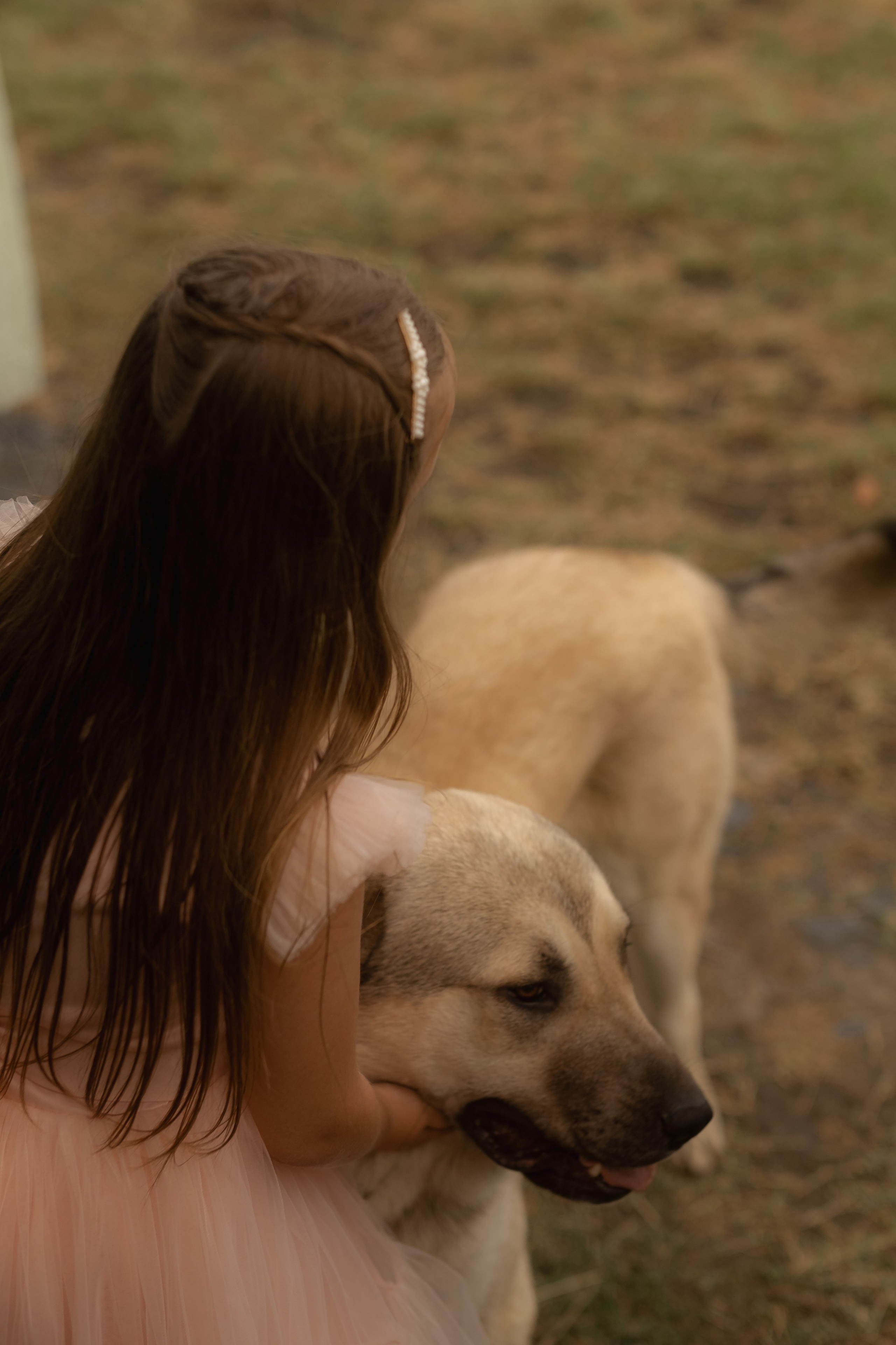 Georgia: Dreams About. Сентиментальная свадебная фотография