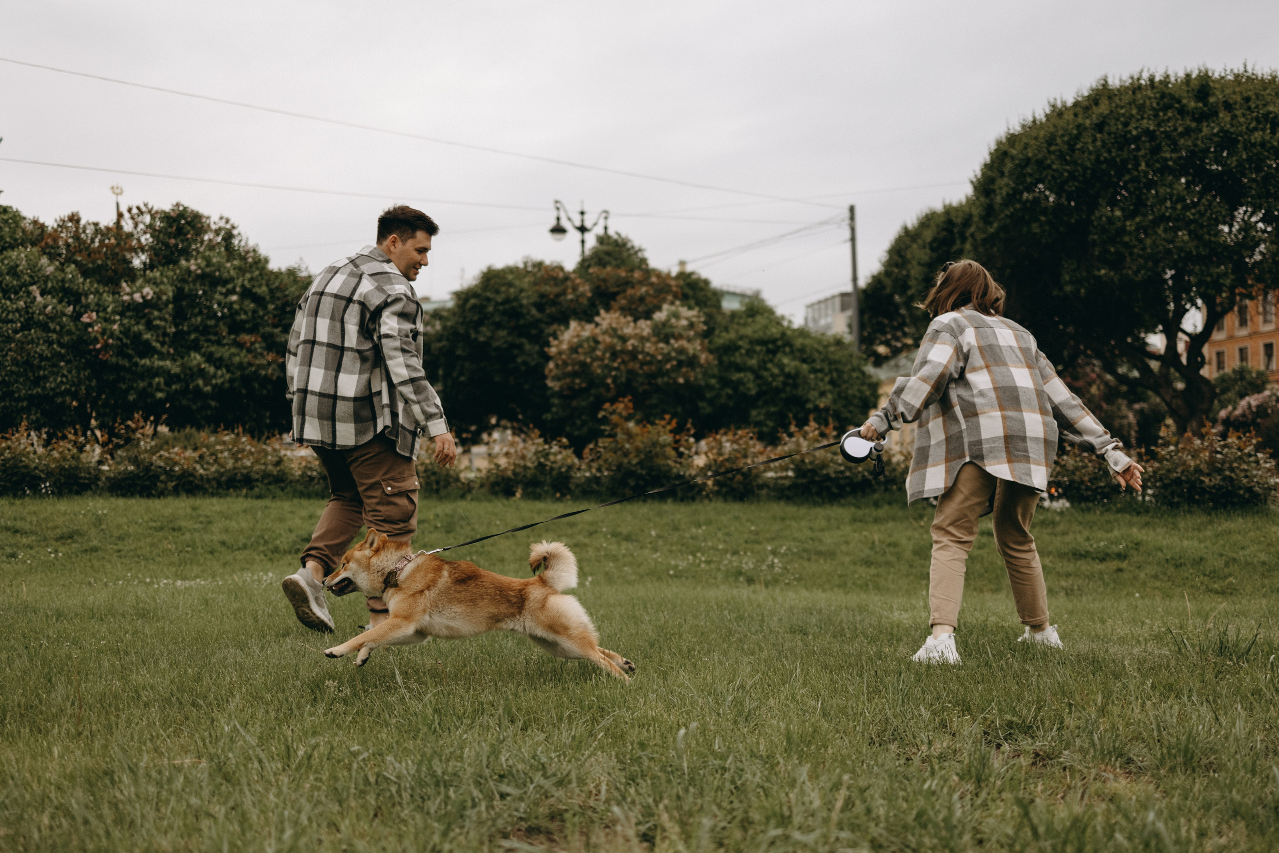 Сириус и его семья. Фотограф — Анималист | Санкт-Петербург