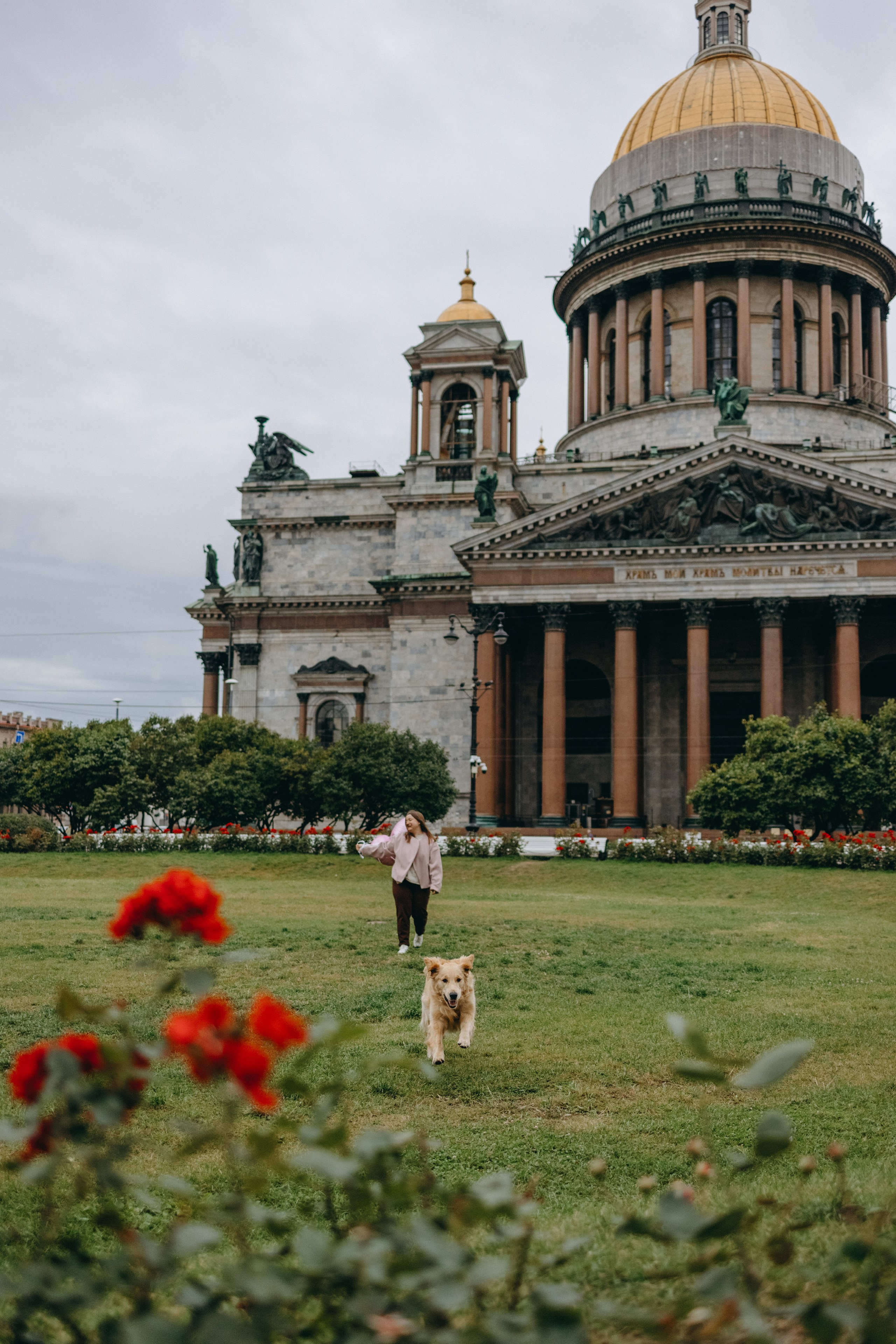 Бетти и ее семья. Фотограф — Анималист | Санкт-Петербург