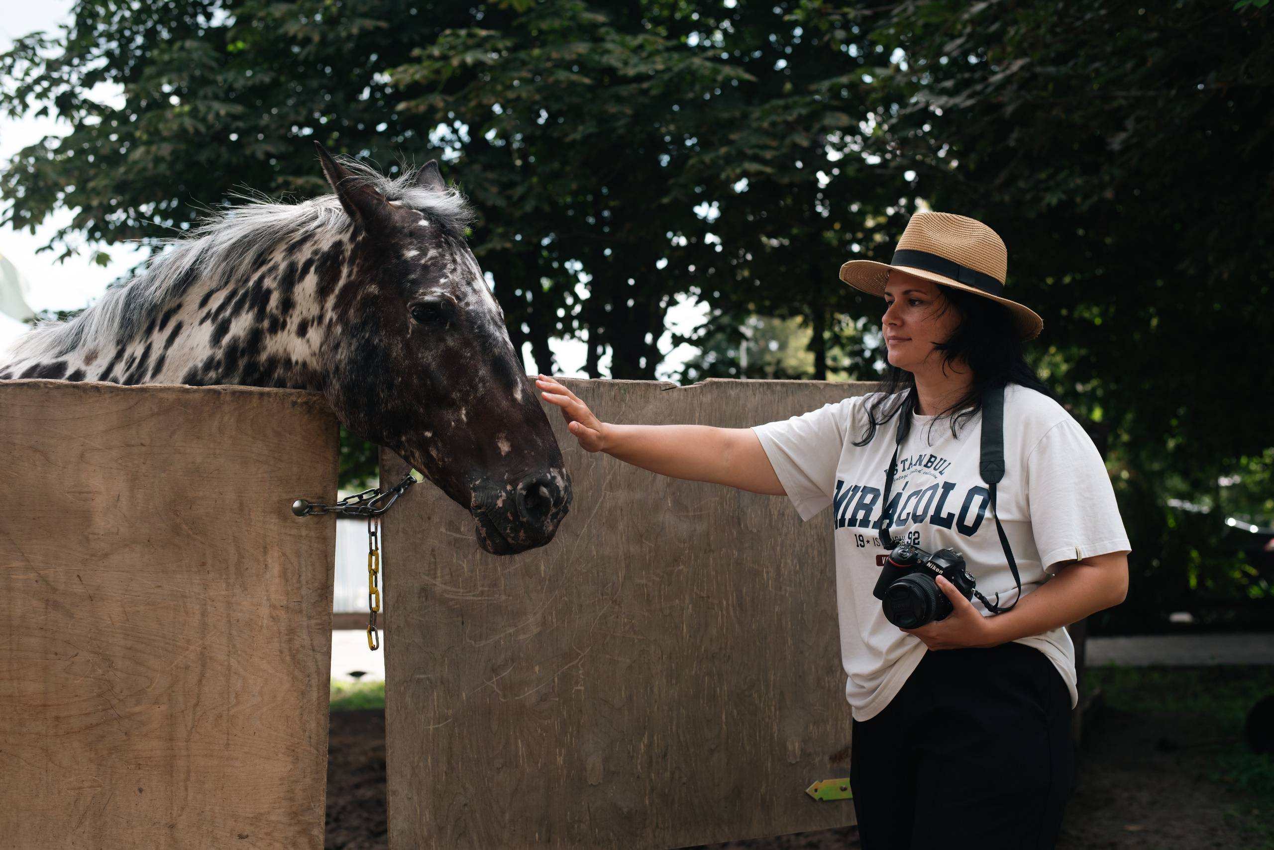 Выездка 10.08.25. Фотограф, визажист. Москва