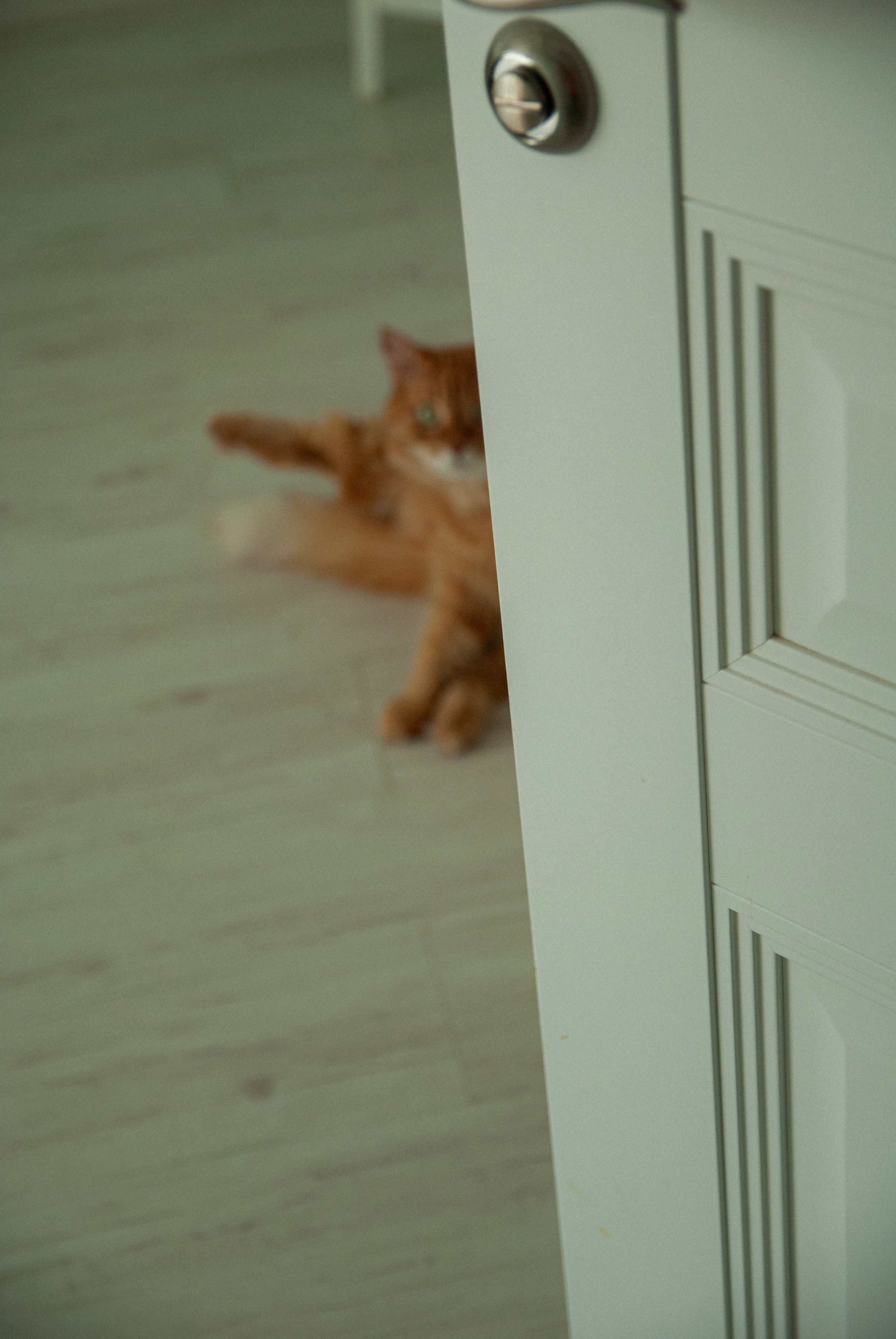 Зоопарк в моём багаже. Кошенкова Мария: портретный и репортажный фотограф. Санкт-Петербург