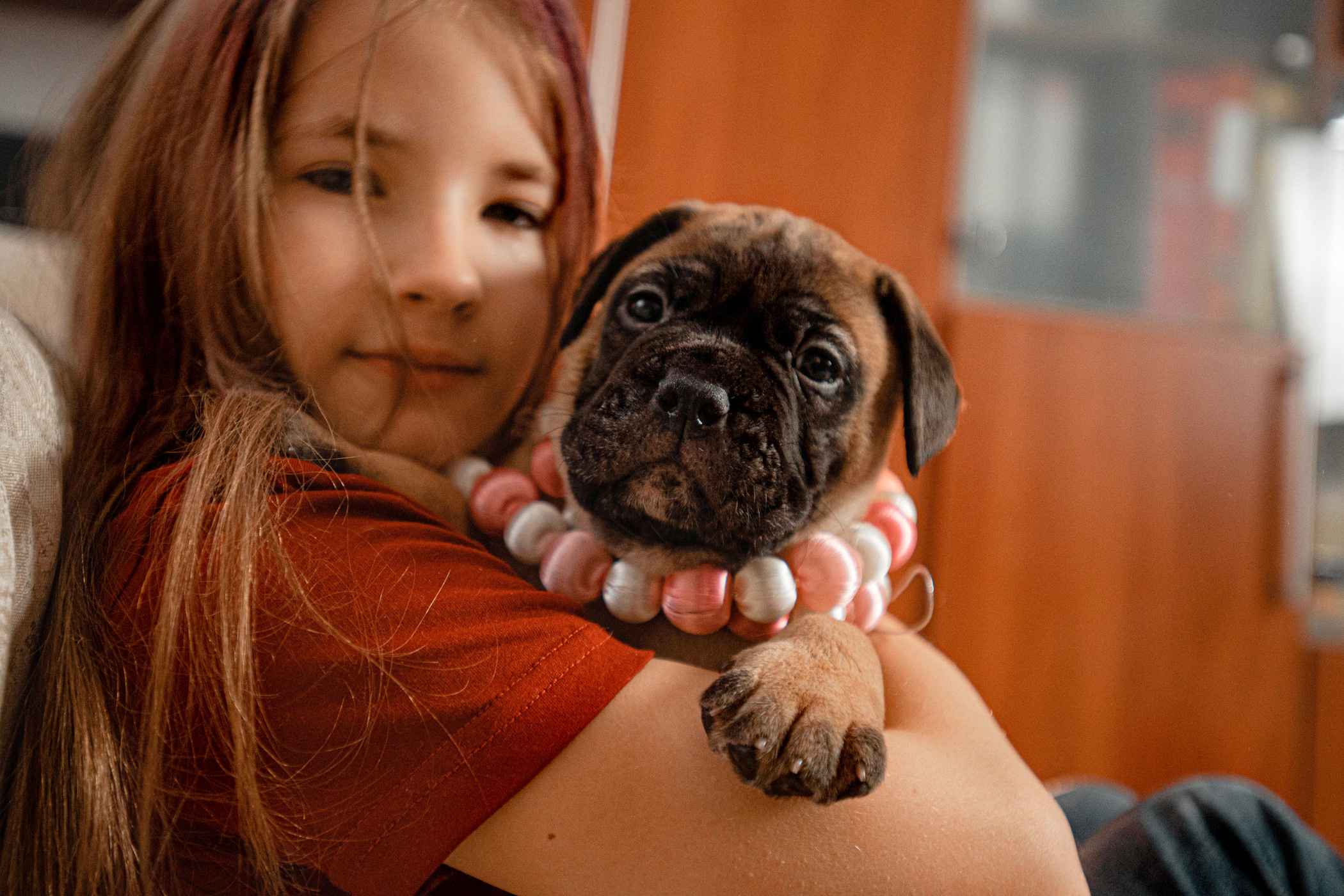 Семейная съемка с щенками. Фотограф — анималист Саратов/Москва|Плужникова Юлия