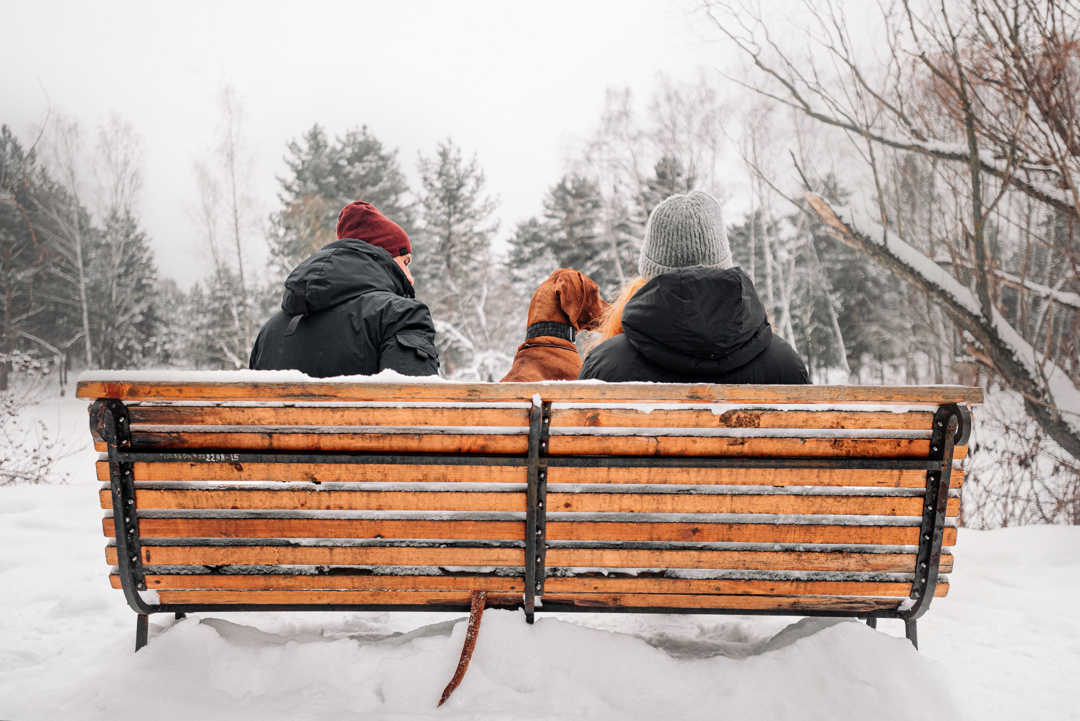 Семья Доры — прогулка с Леной и Лешей. Фотограф — анималист Саратов/Москва|Плужникова Юлия