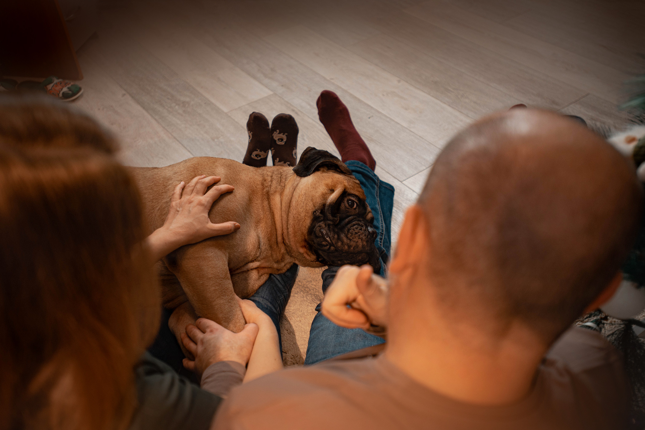 Семейная съемка с щенками. Фотограф — анималист Саратов/Москва|Плужникова Юлия