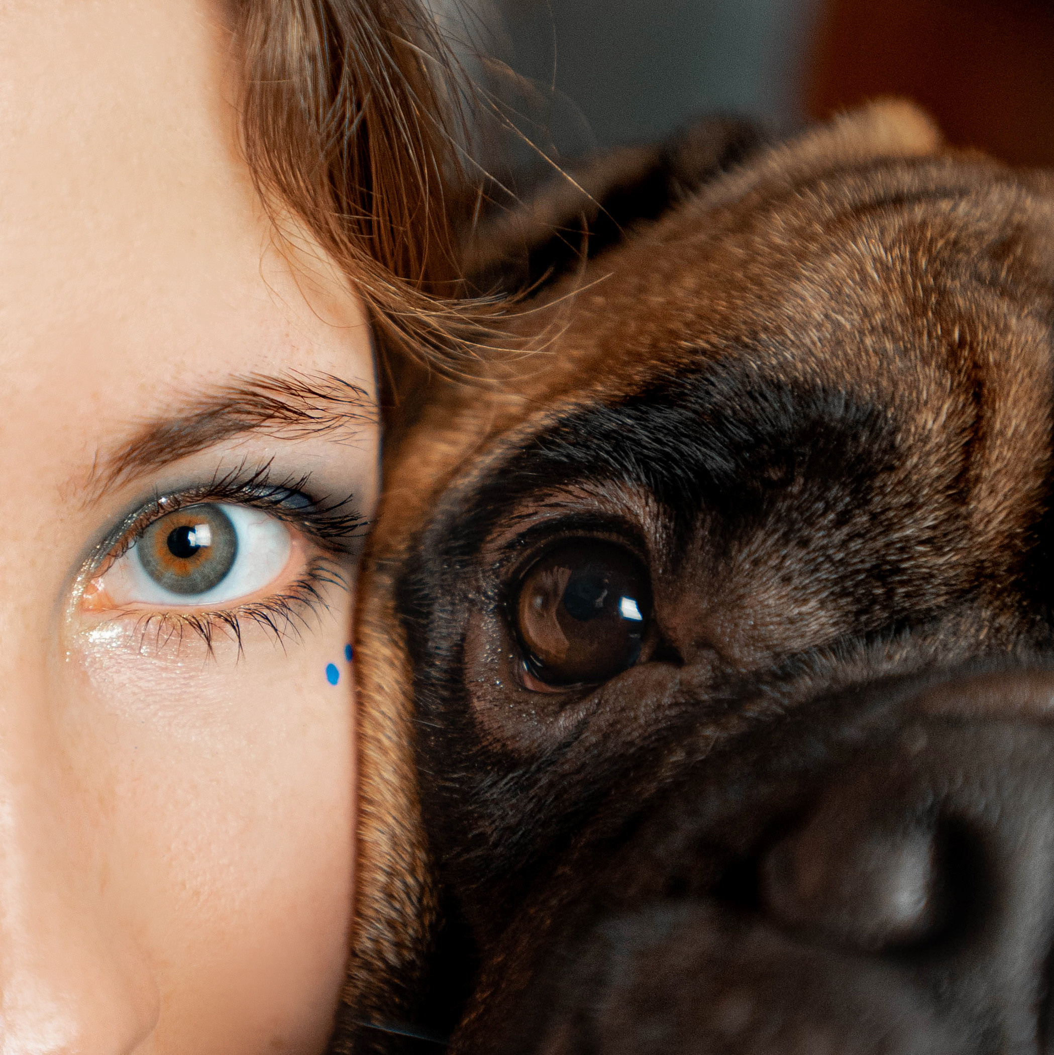 Семейная съемка с щенками. Фотограф — анималист Саратов/Москва|Плужникова Юлия
