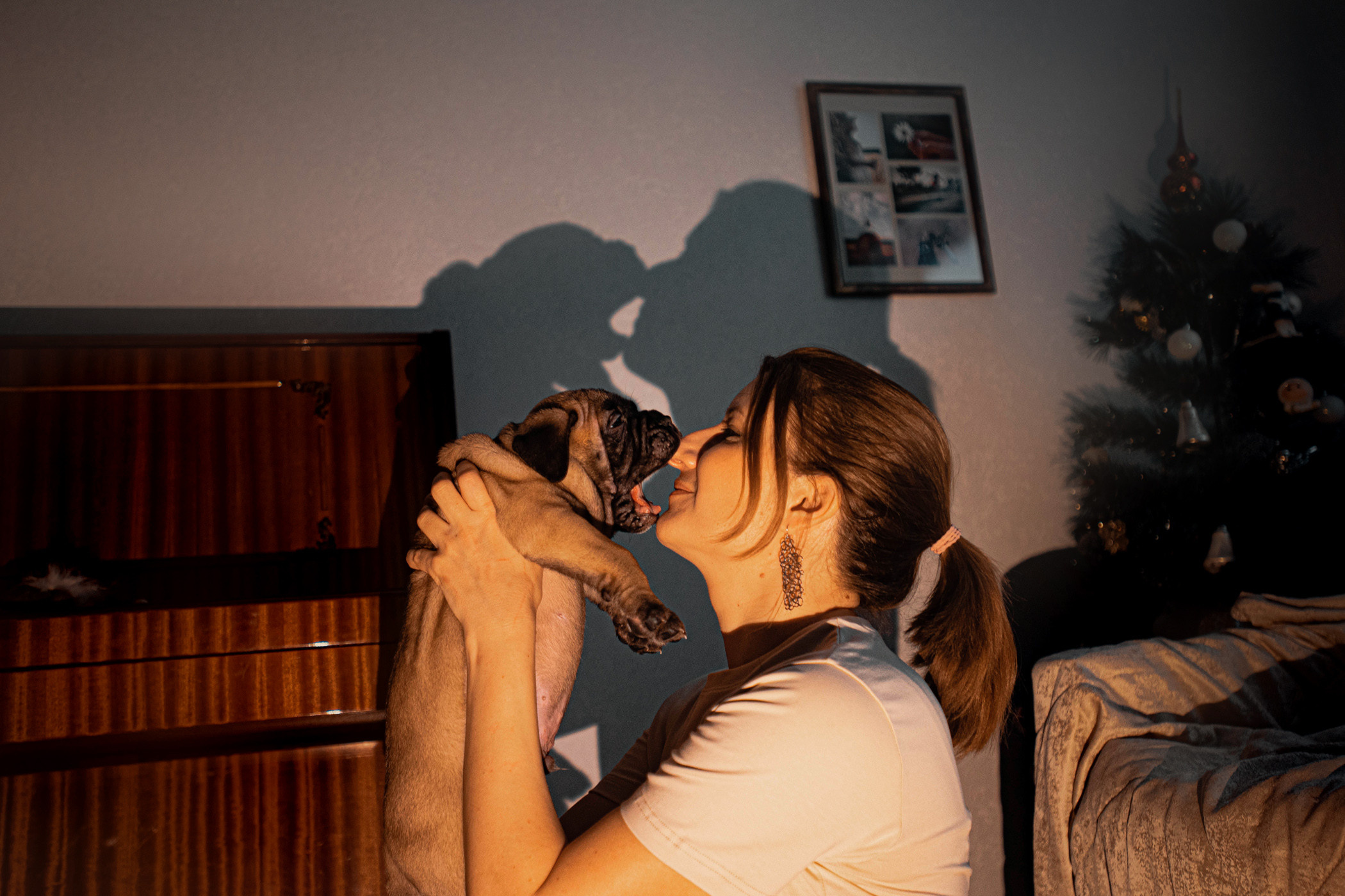 Семейная съемка с щенками. Фотограф — анималист Саратов/Москва|Плужникова Юлия