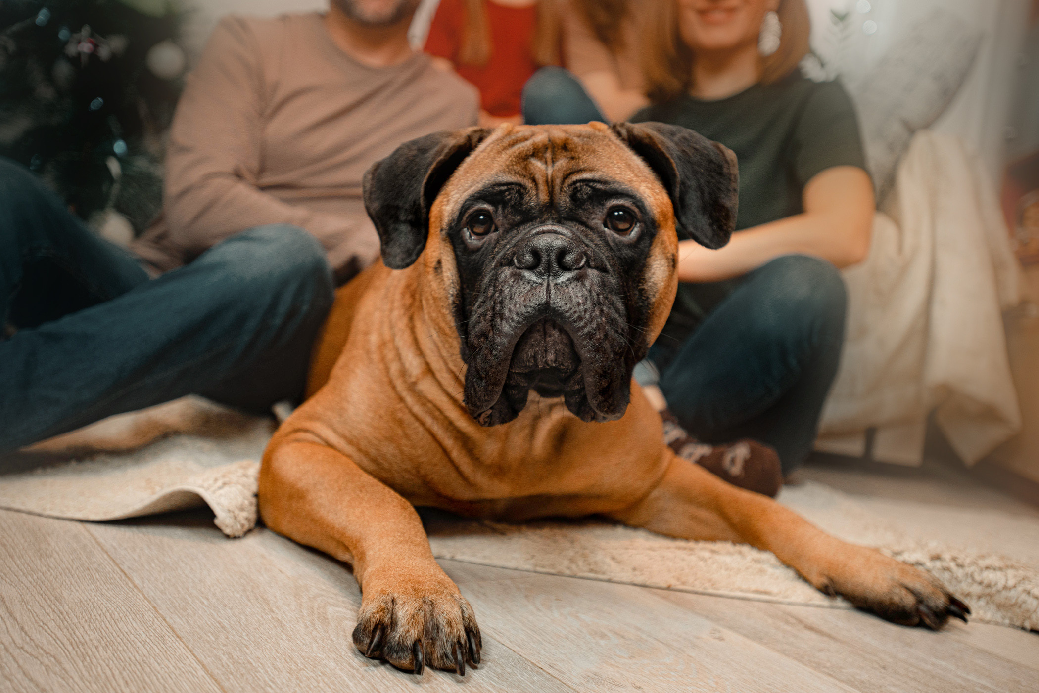 Семейная съемка с щенками. Фотограф — анималист Саратов/Москва|Плужникова Юлия