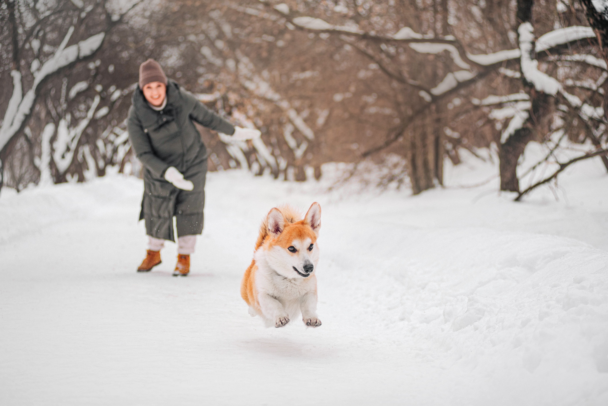 Нортон и его семья. Фотограф — анималист Саратов/Москва|Плужникова Юлия