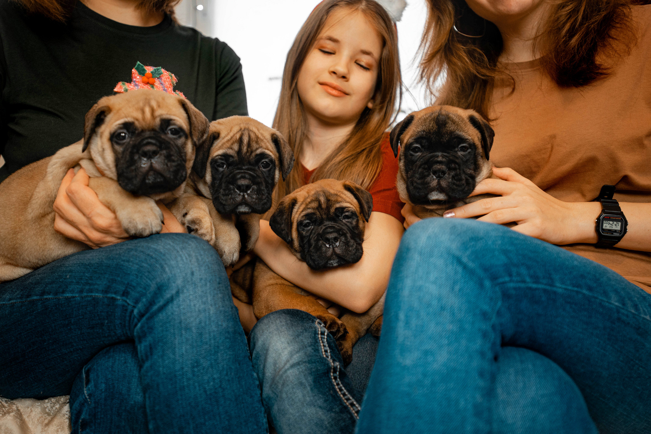 Семейная съемка с щенками. Фотограф — анималист Саратов/Москва|Плужникова Юлия