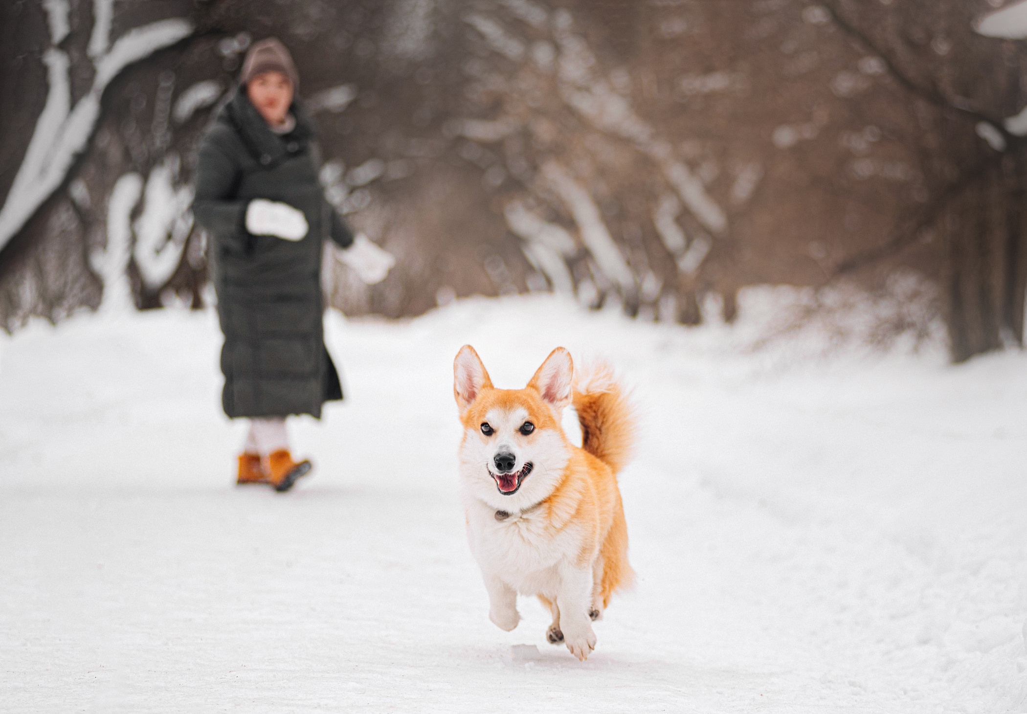 Нортон и его семья. Фотограф — анималист Саратов/Москва|Плужникова Юлия