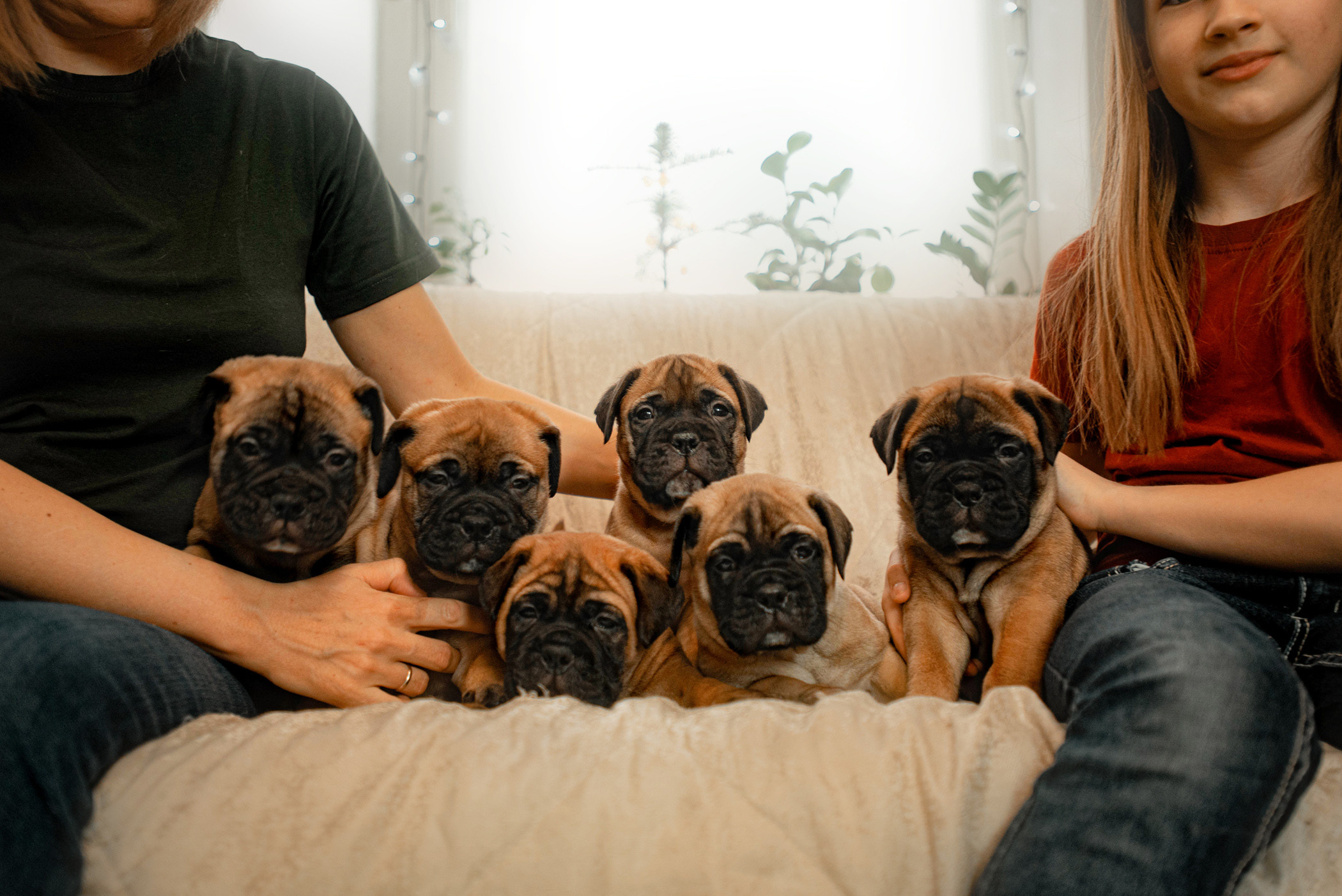 Семейная съемка с щенками. Фотограф — анималист Саратов/Москва|Плужникова Юлия