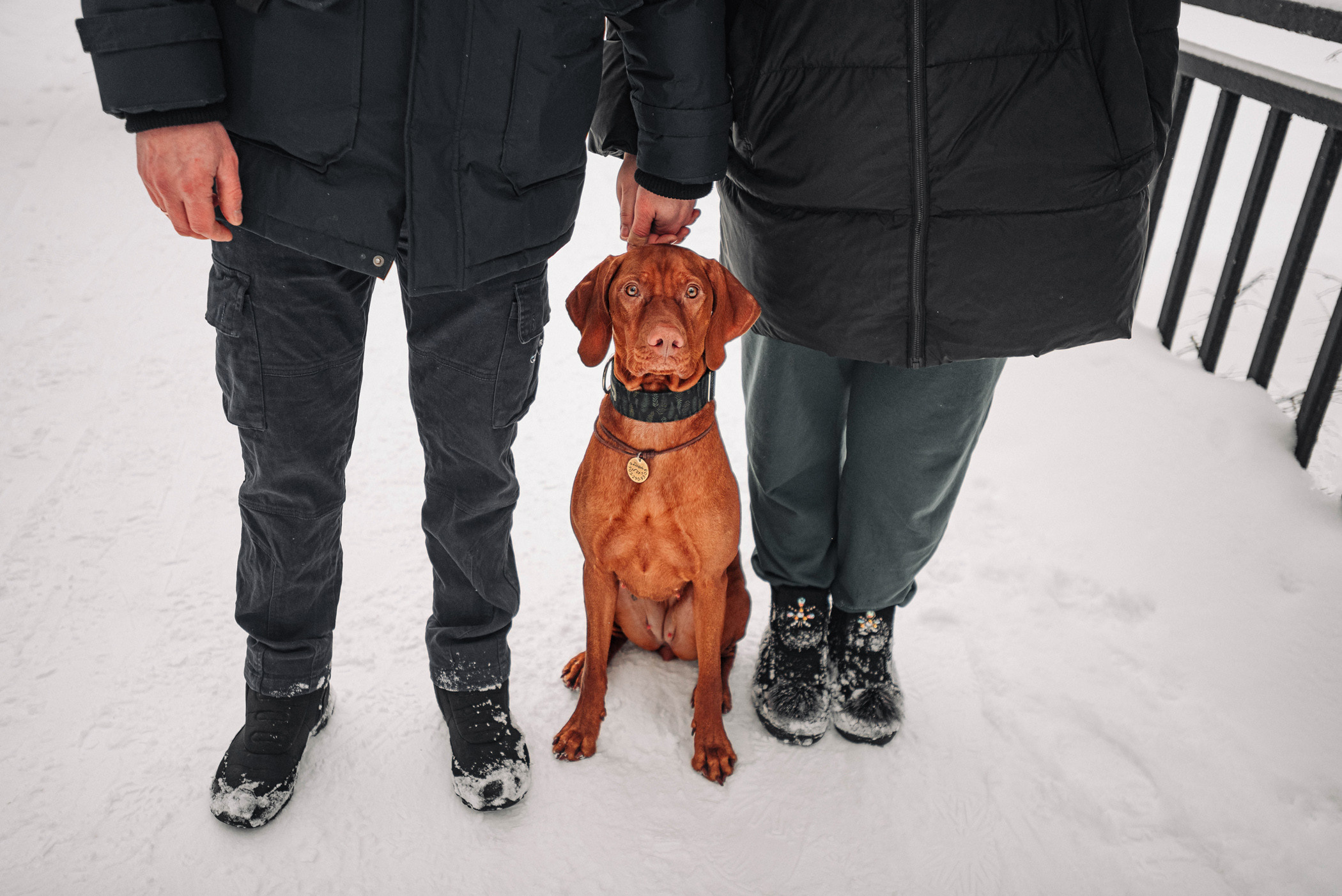 Семья Доры — прогулка с Леной и Лешей. Фотограф — анималист Саратов/Москва|Плужникова Юлия