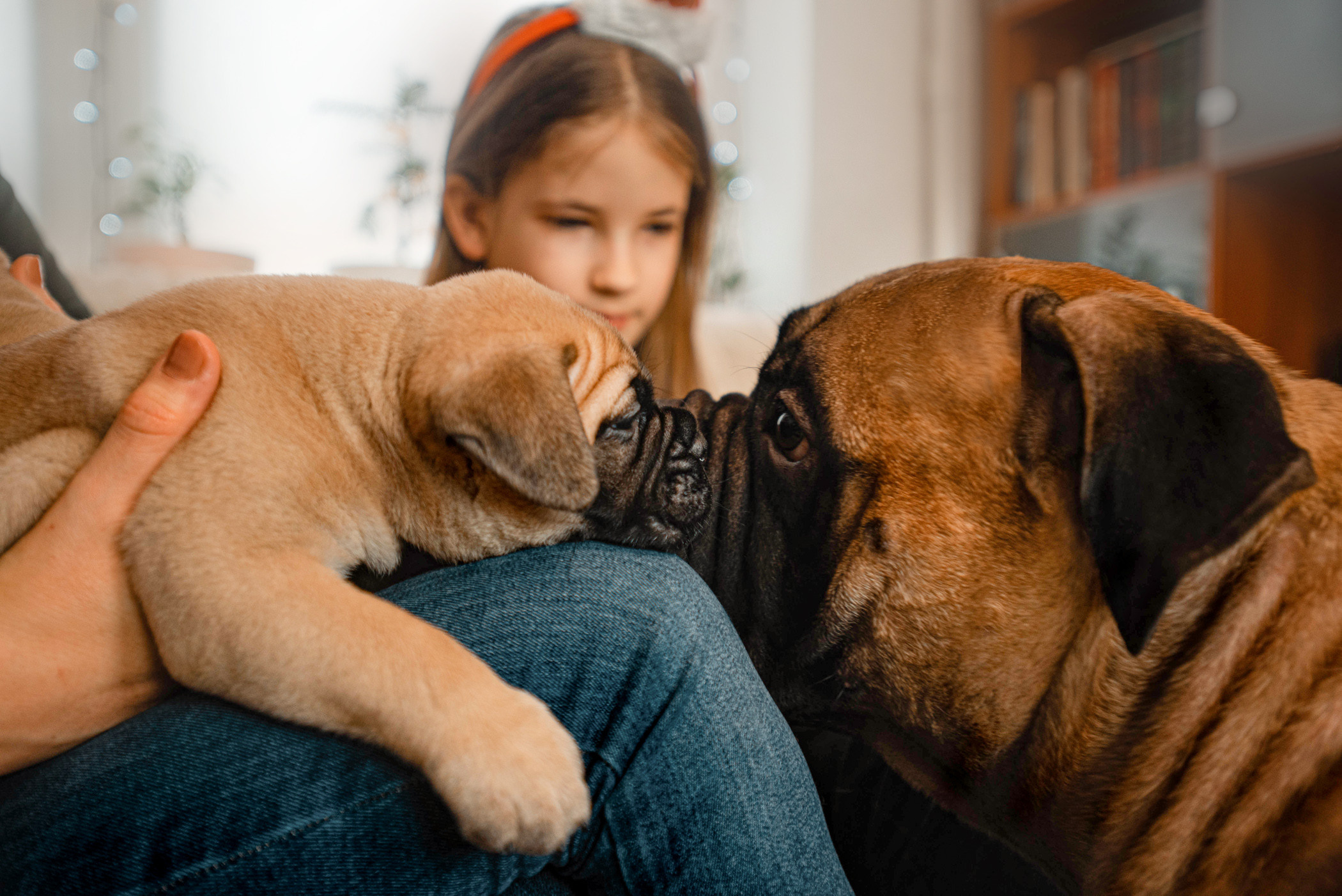 Семейная съемка с щенками. Фотограф — анималист Саратов/Москва|Плужникова Юлия