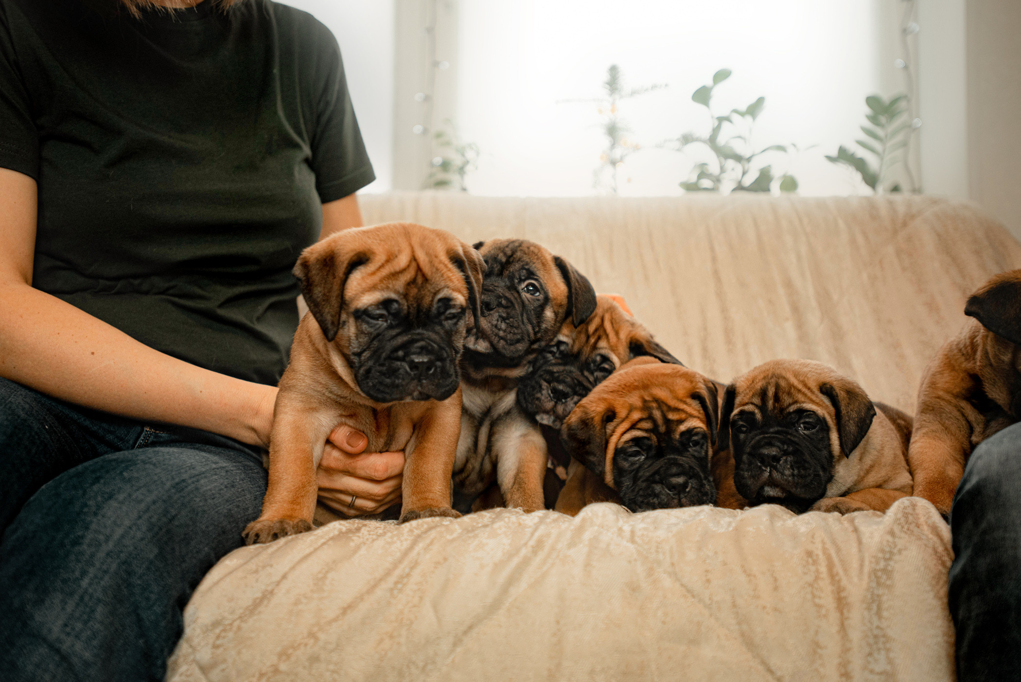 Семейная съемка с щенками. Фотограф — анималист Саратов/Москва|Плужникова Юлия