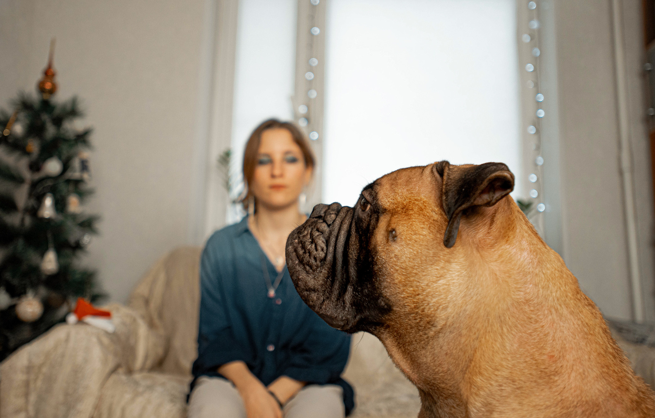 Семейная съемка с щенками. Фотограф — анималист Саратов/Москва|Плужникова Юлия