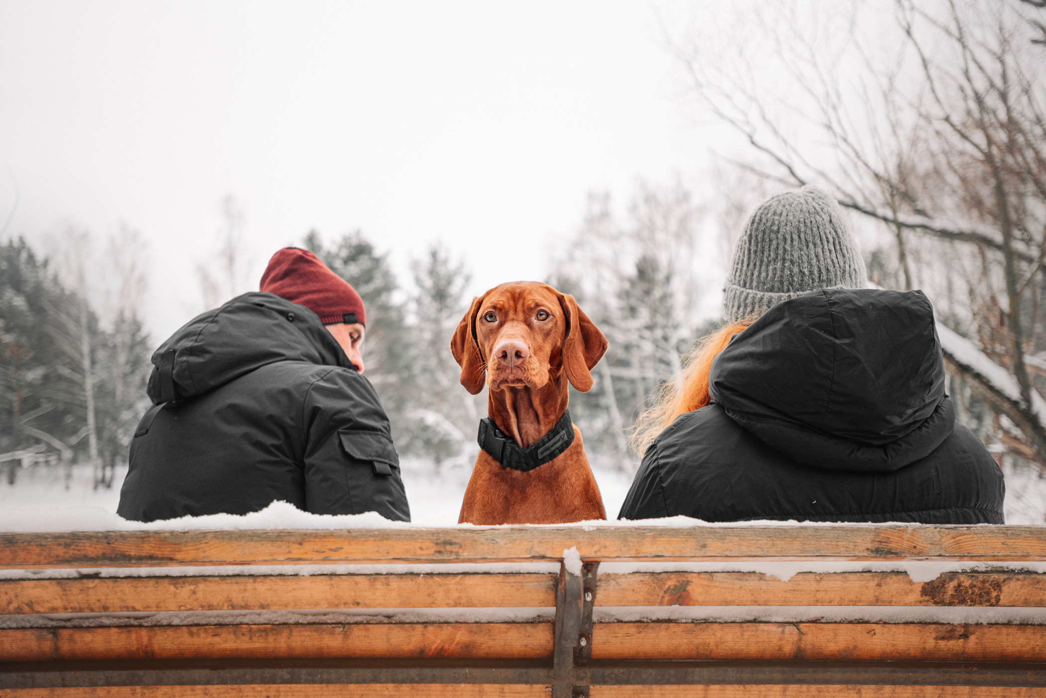 Семья Доры — прогулка с Леной и Лешей. Фотограф — анималист Саратов/Москва|Плужникова Юлия