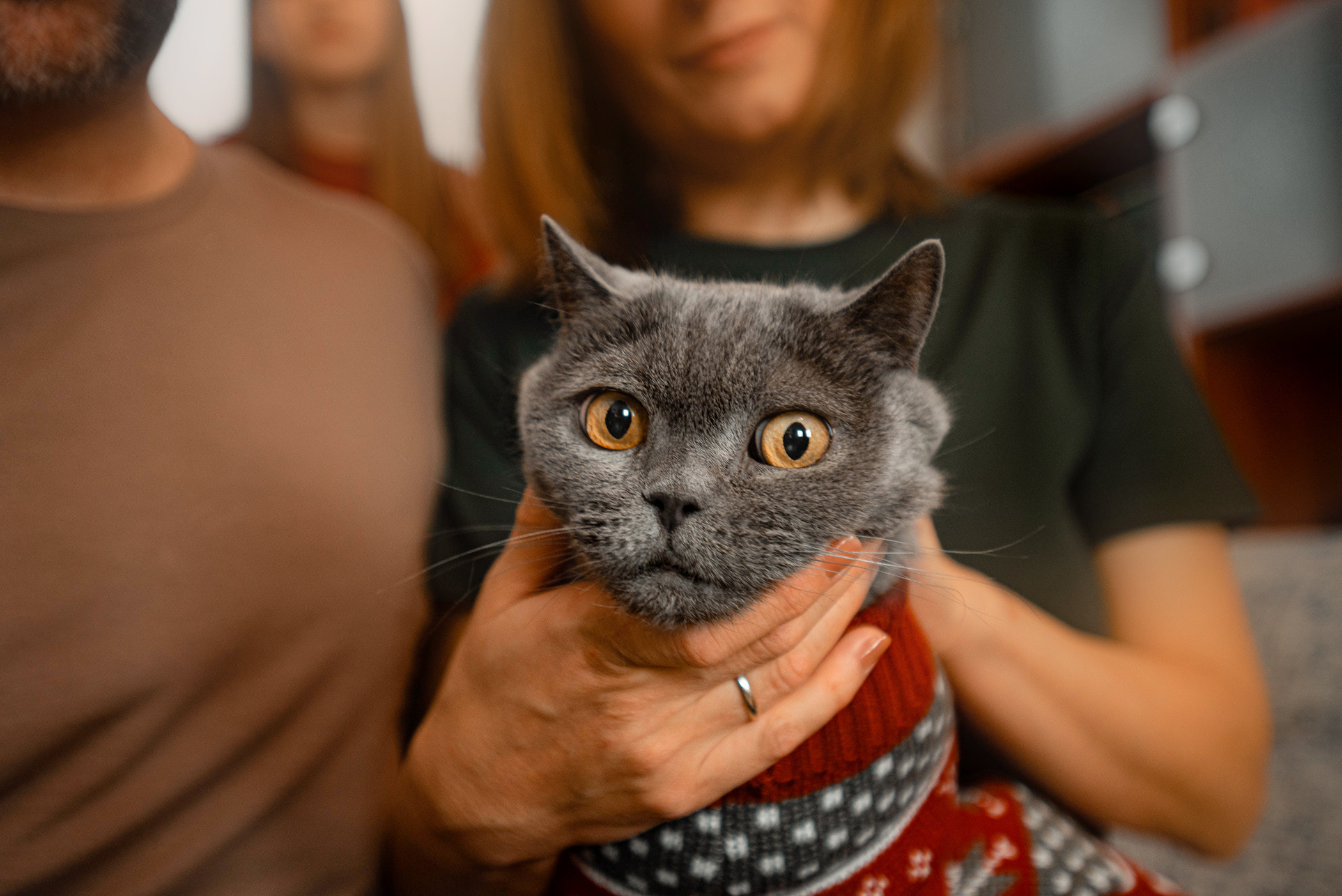 Семейная съемка с щенками. Фотограф — анималист Саратов/Москва|Плужникова Юлия