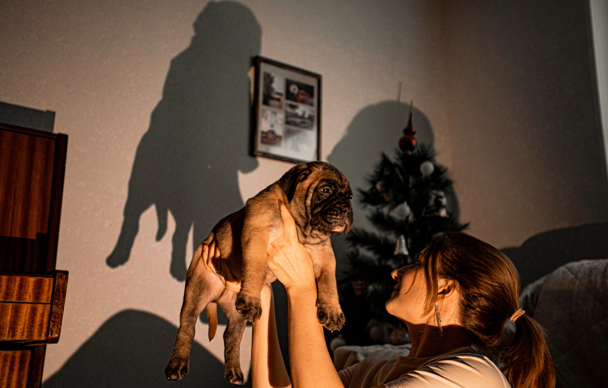 Семейная съемка с щенками. Фотограф — анималист Саратов/Москва|Плужникова Юлия