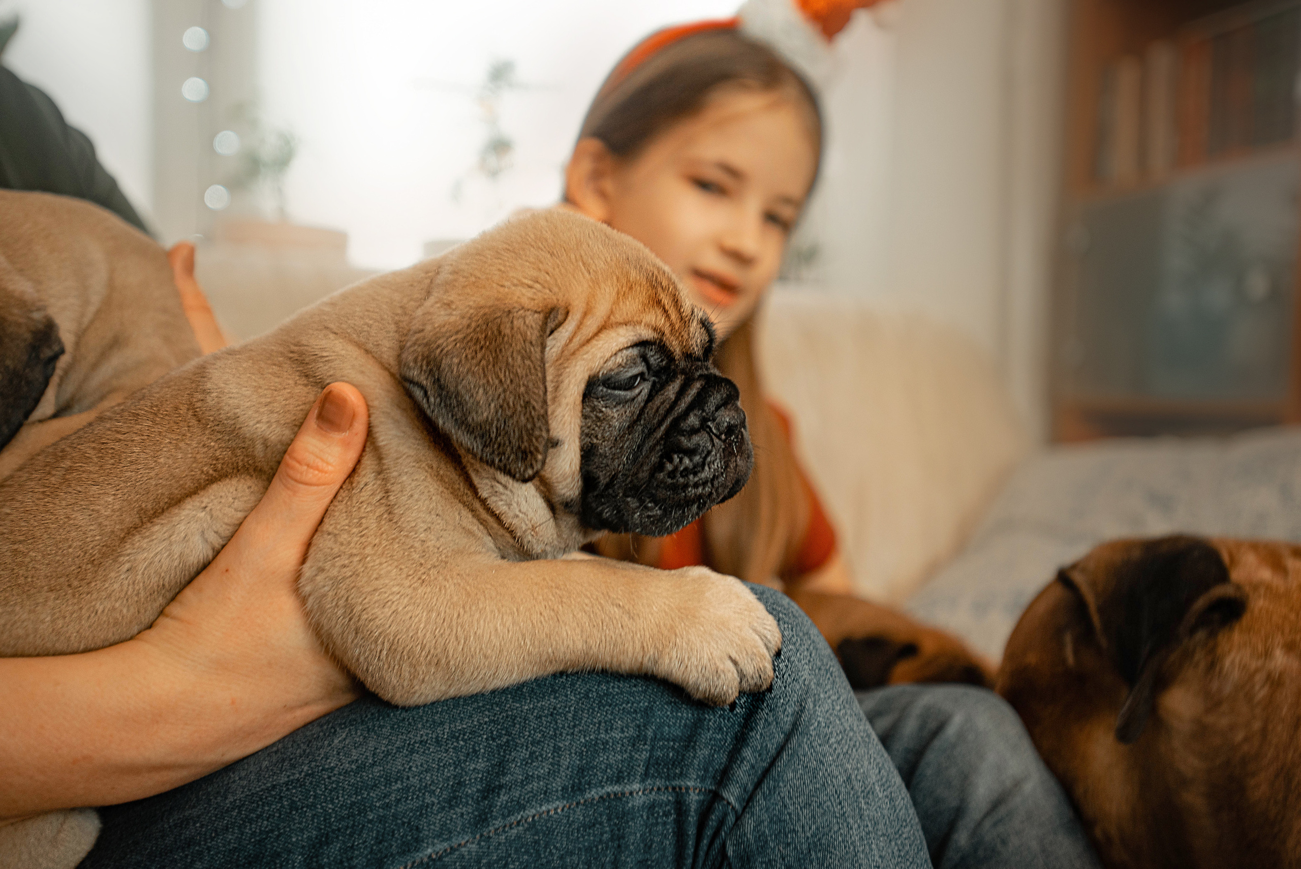 Семейная съемка с щенками. Фотограф — анималист Саратов/Москва|Плужникова Юлия