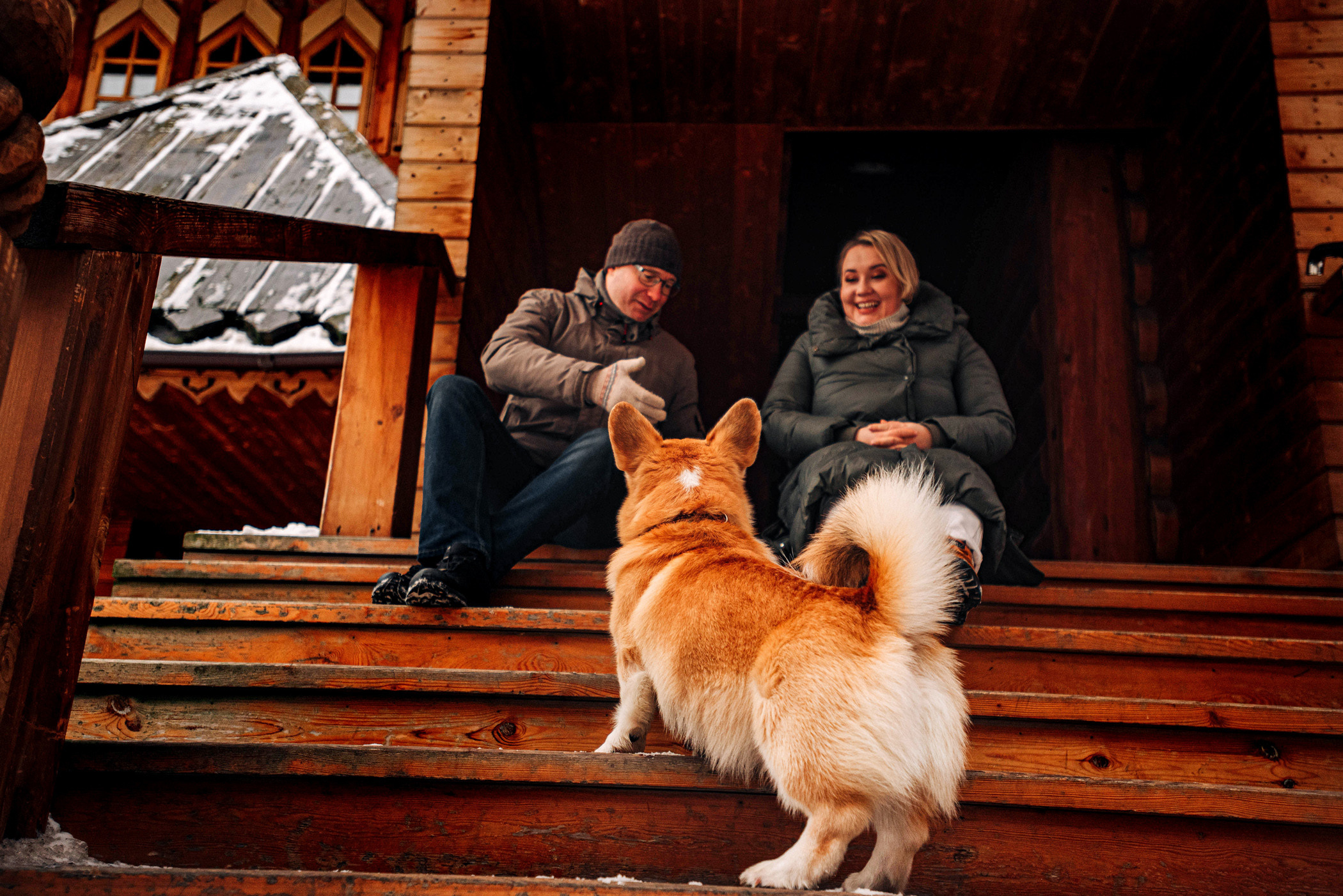 Нортон и его семья. Фотограф — анималист Саратов/Москва|Плужникова Юлия