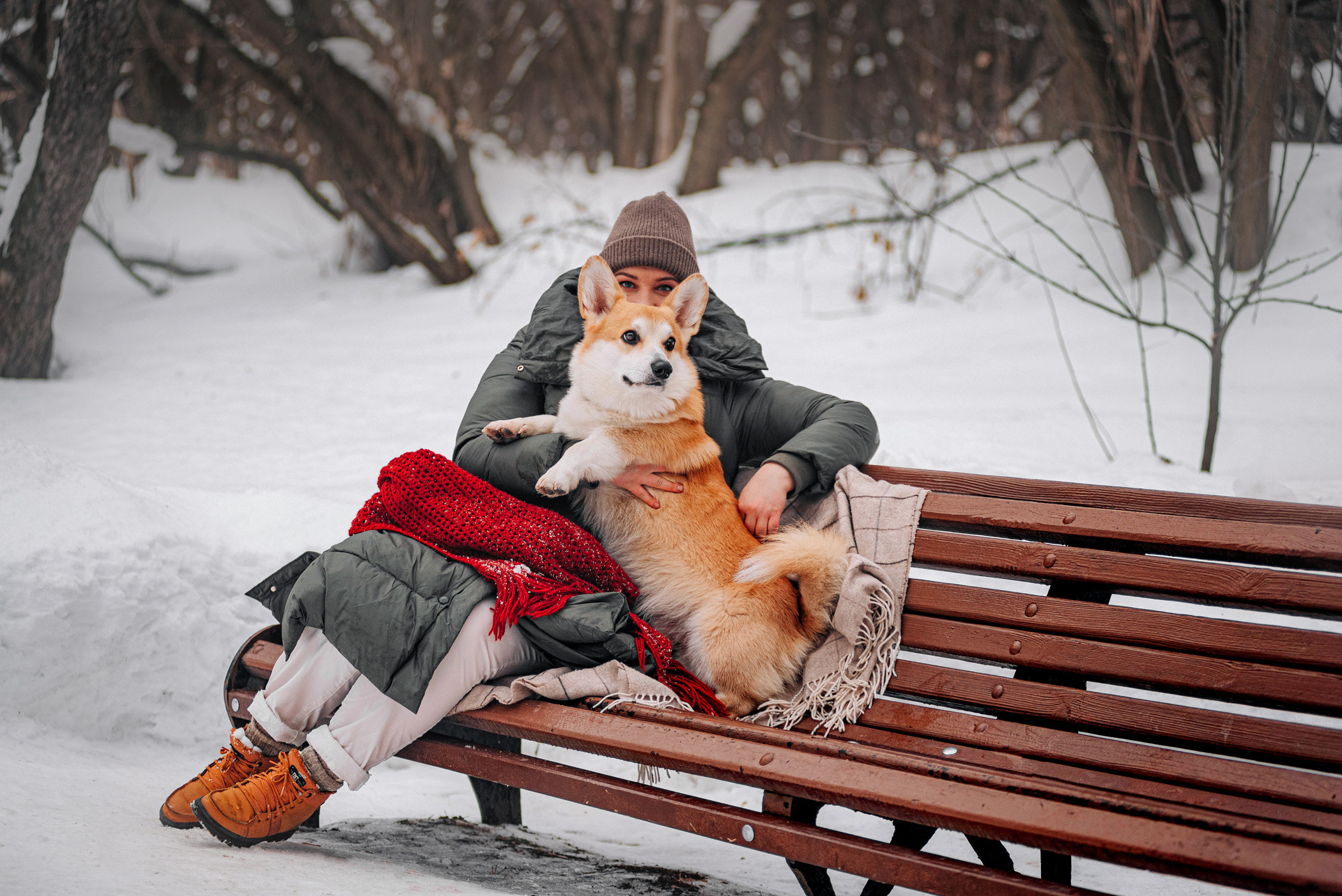 Нортон и его семья. Фотограф — анималист Саратов/Москва|Плужникова Юлия