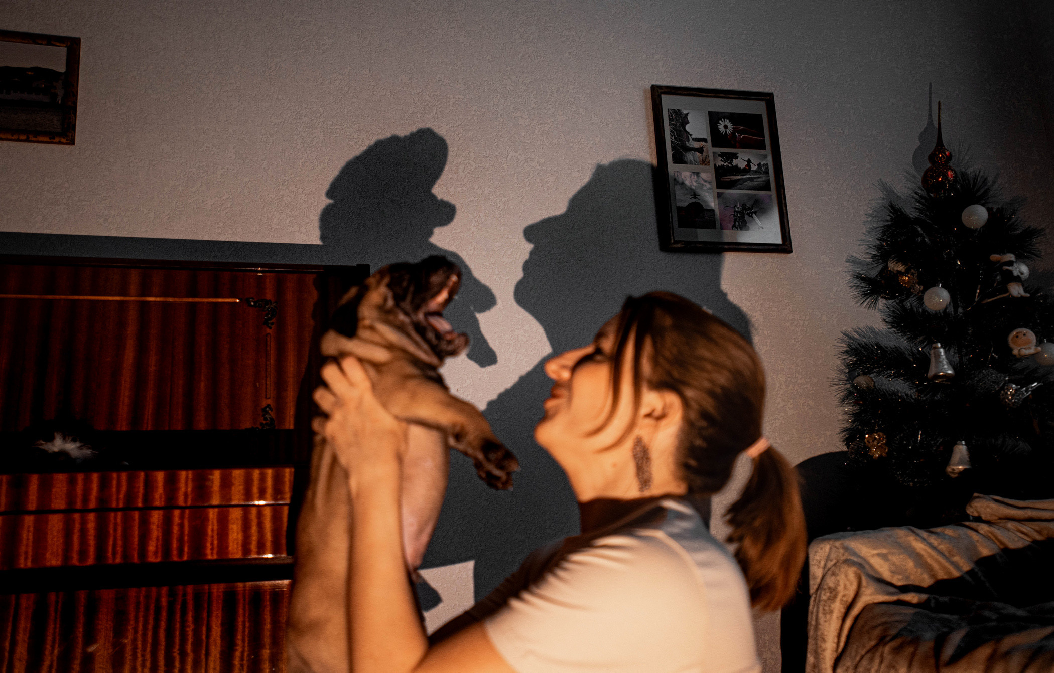 Семейная съемка с щенками. Фотограф — анималист Саратов/Москва|Плужникова Юлия