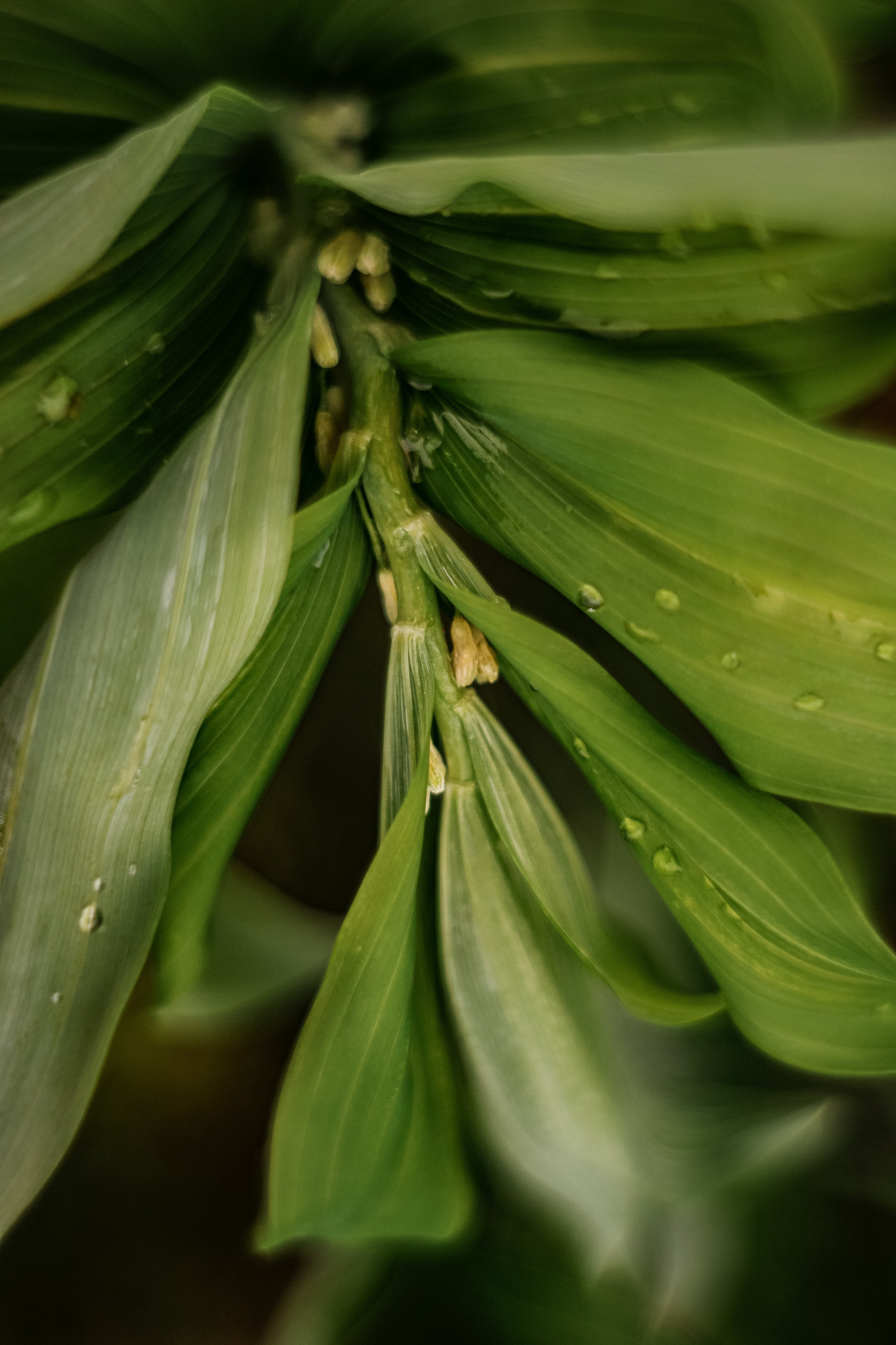 Природа. Фотограф Ольга Мурзина