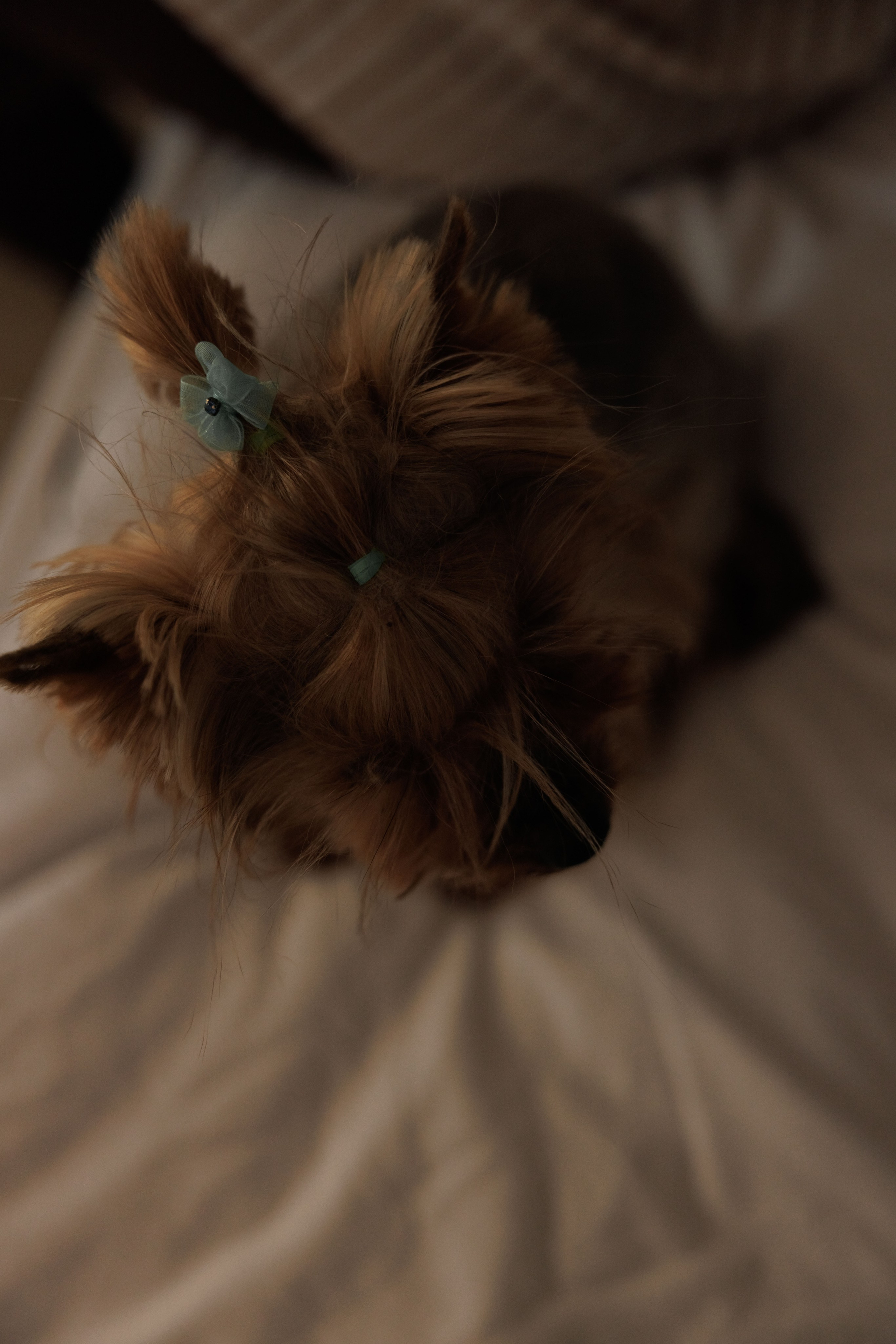 Семейная съемка Анна и Александр = Матвей. Свадебный и семейный фотограф  во Владивостоке Ольга Украинец