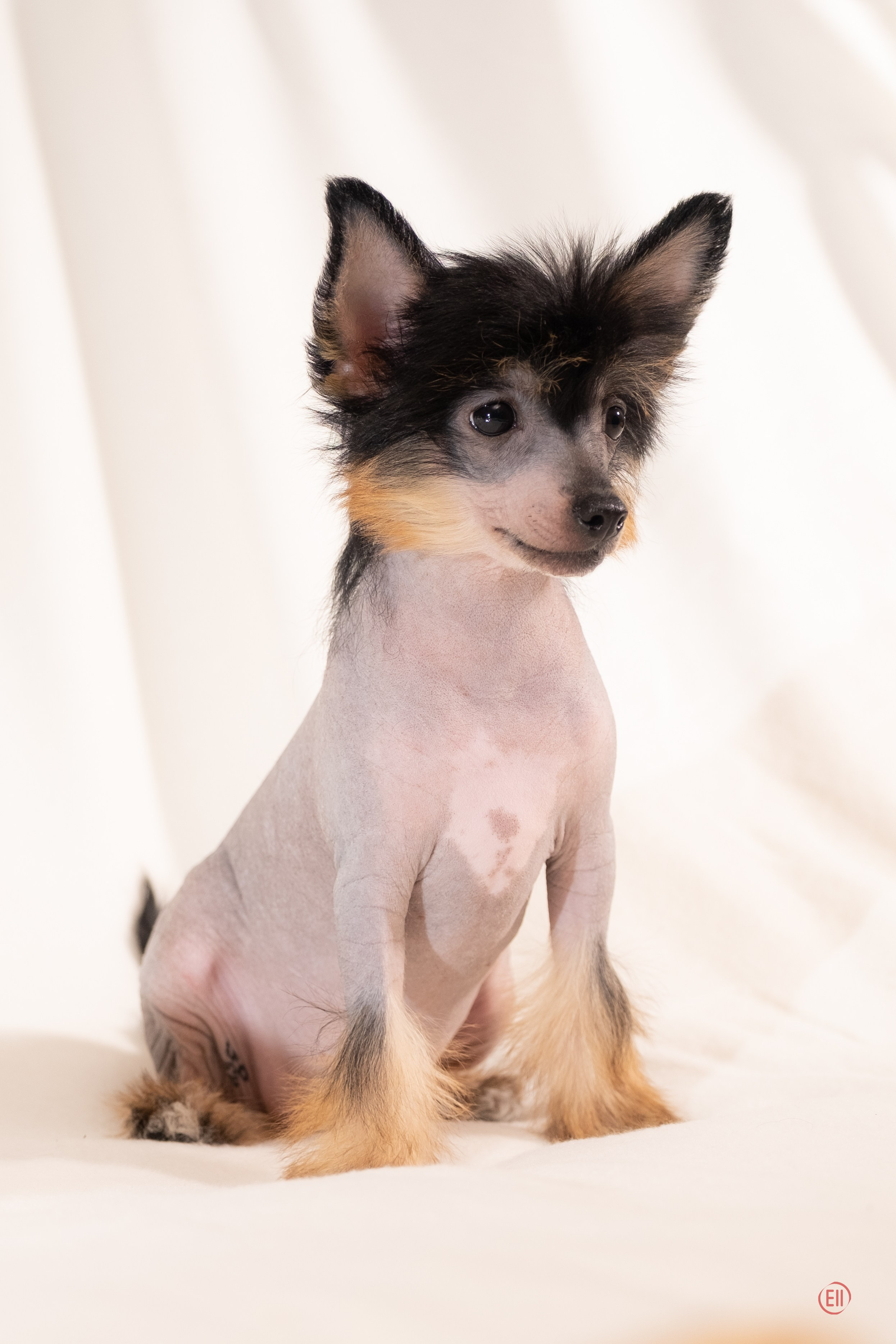 Помёт V. Фотосессия 2. 28.04.2024. Фотограф в Москве