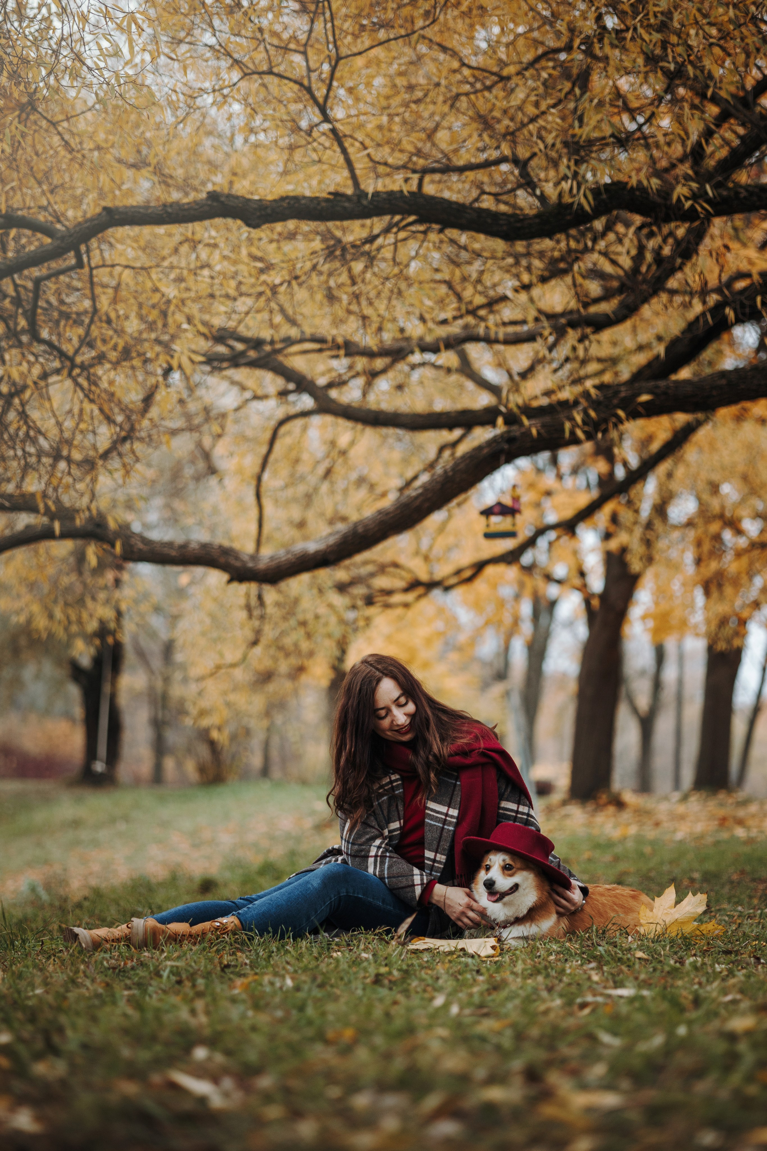 Юля и Терри. Фотограф — Анималист | Санкт-Петербург