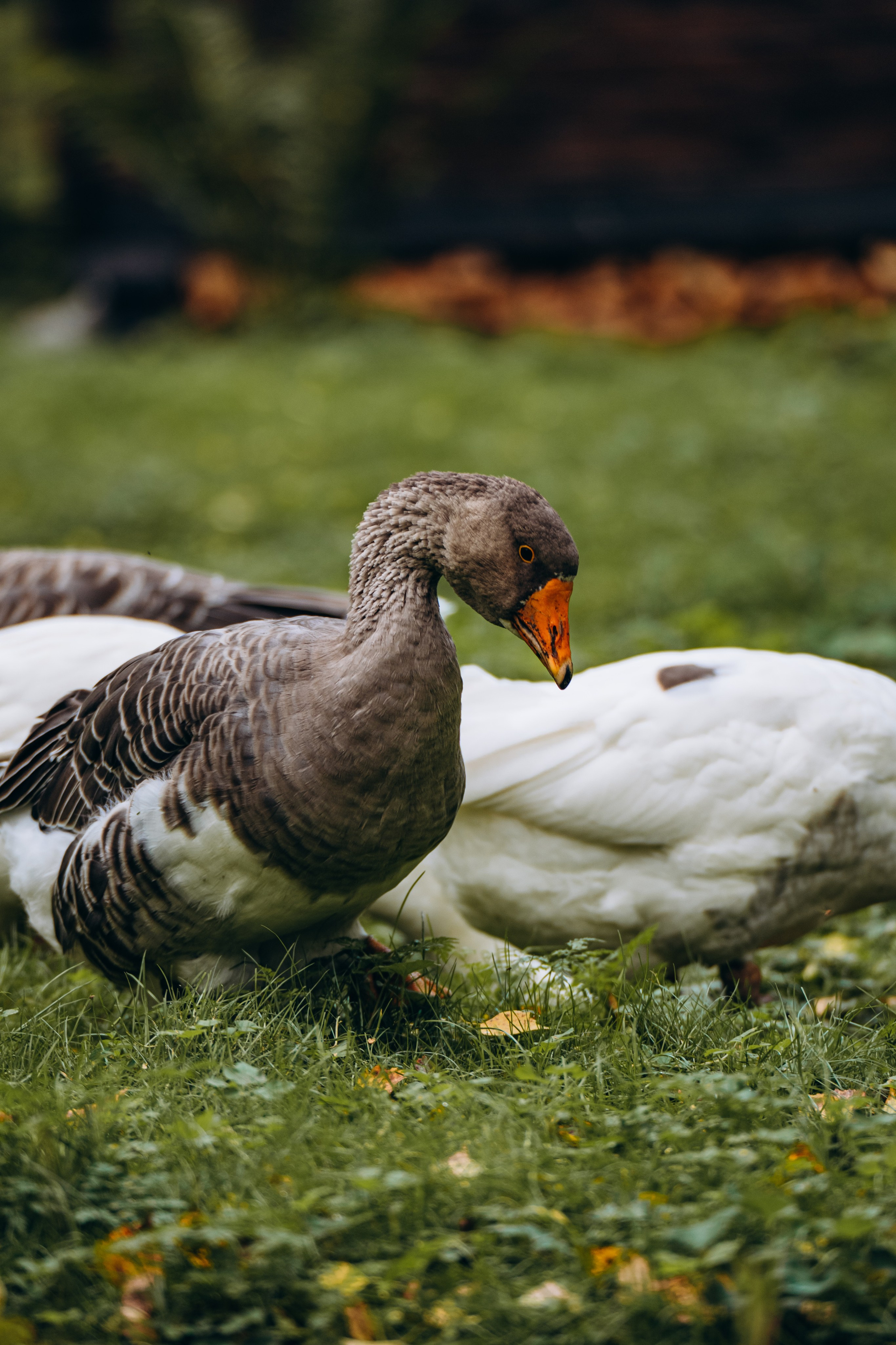 СЕВЕР. Event фотограф Степанова Александра