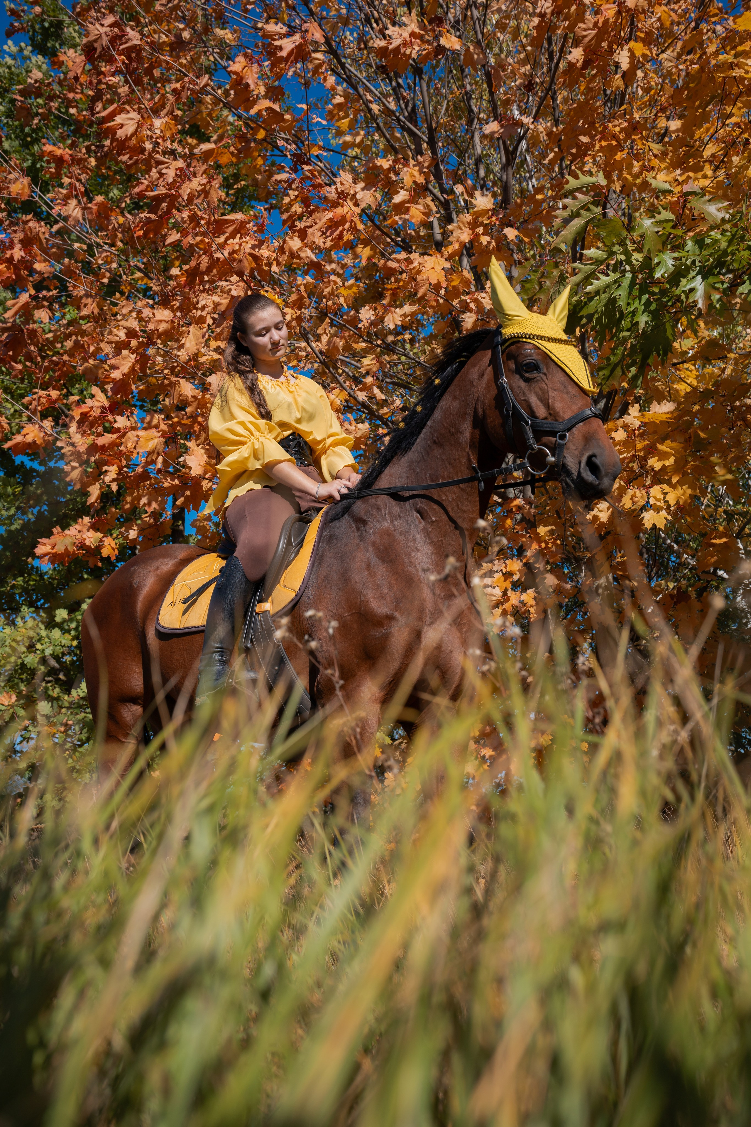 Фотосессия с лошадьми