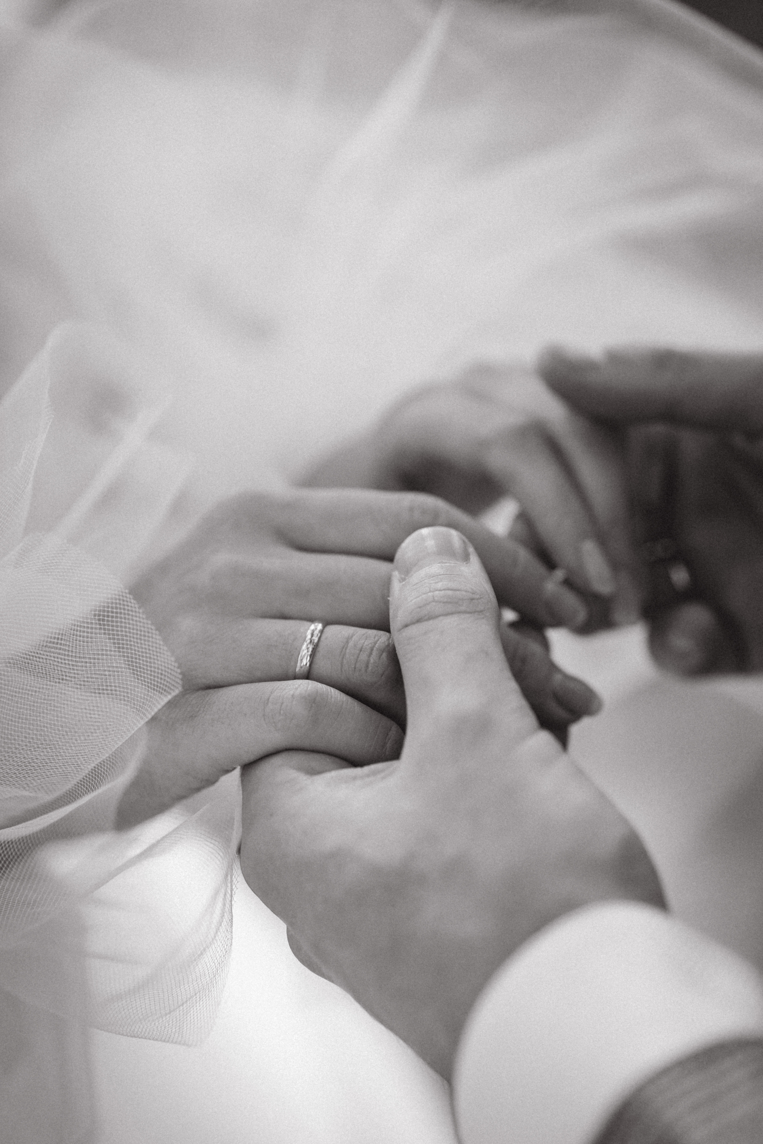 Никита и Даша. Свадебный и семейный фотограф Ястребова Маргарита