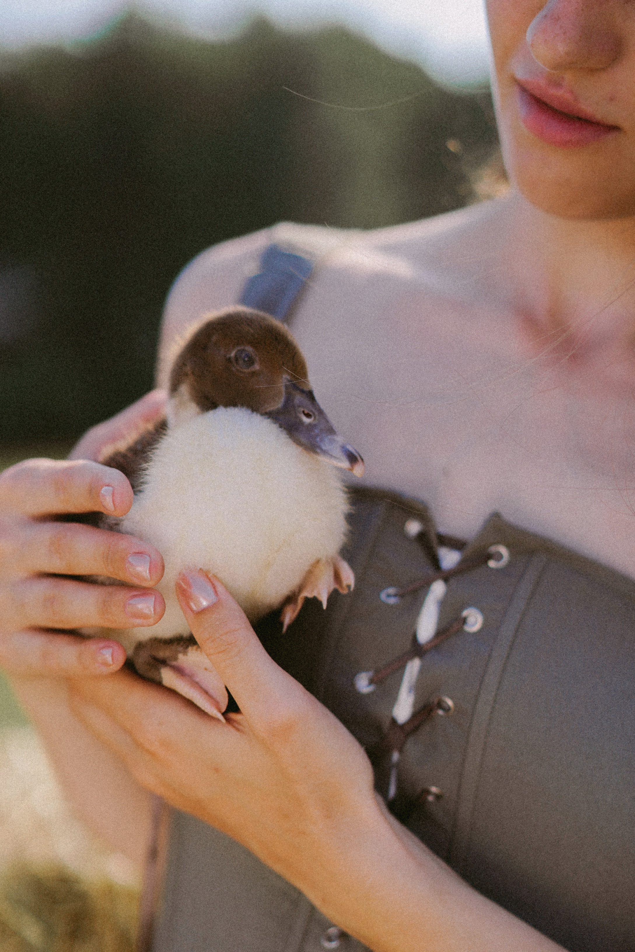 Аня, Артем и Кристина на ферме. Свадебный и семейный фотограф Ястребова Маргарита