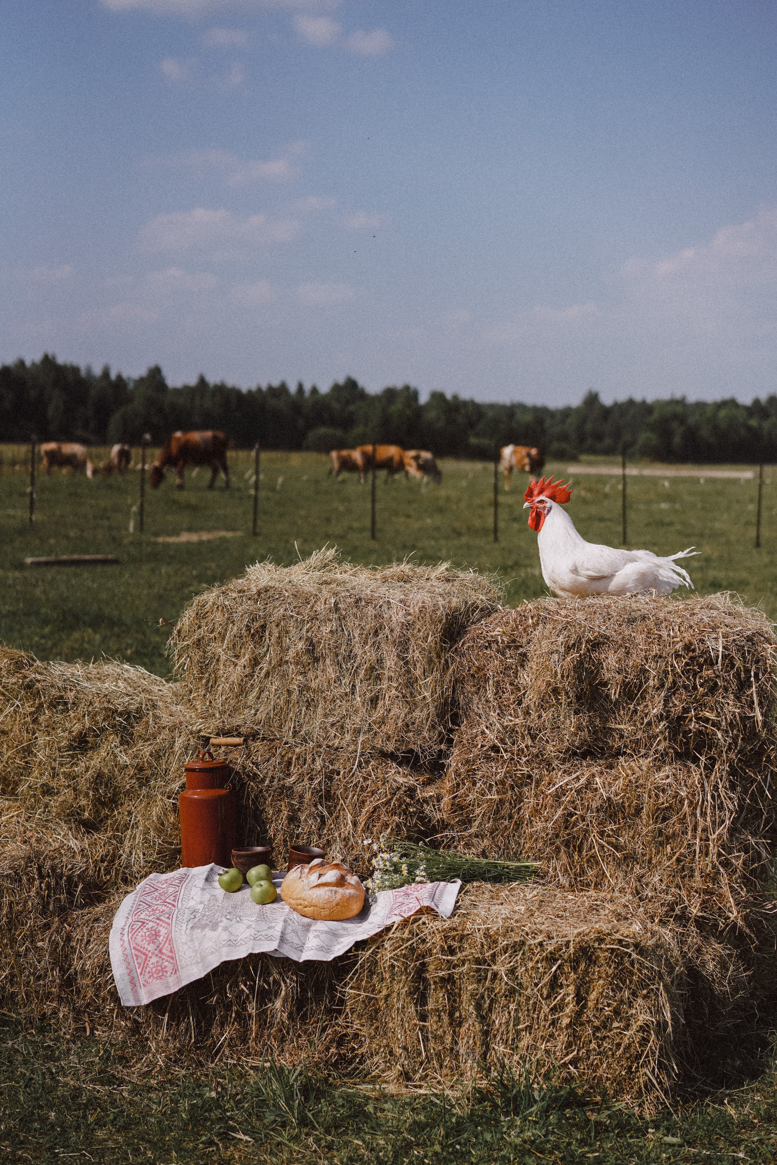 Аня, Артем и Кристина на ферме. Свадебный и семейный фотограф Ястребова Маргарита
