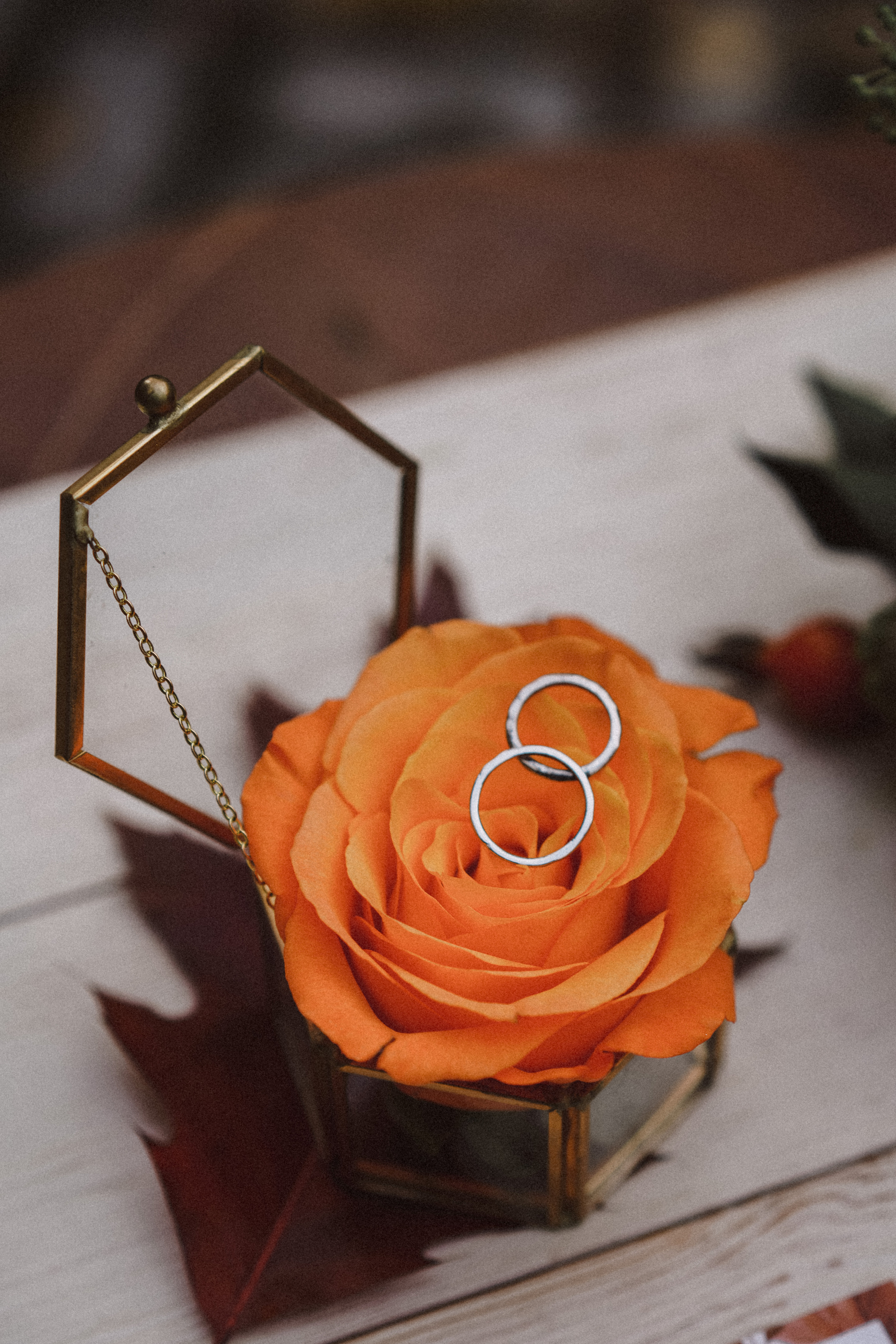 Илья и Валерия. Свадебный и семейный фотограф Ястребова Маргарита