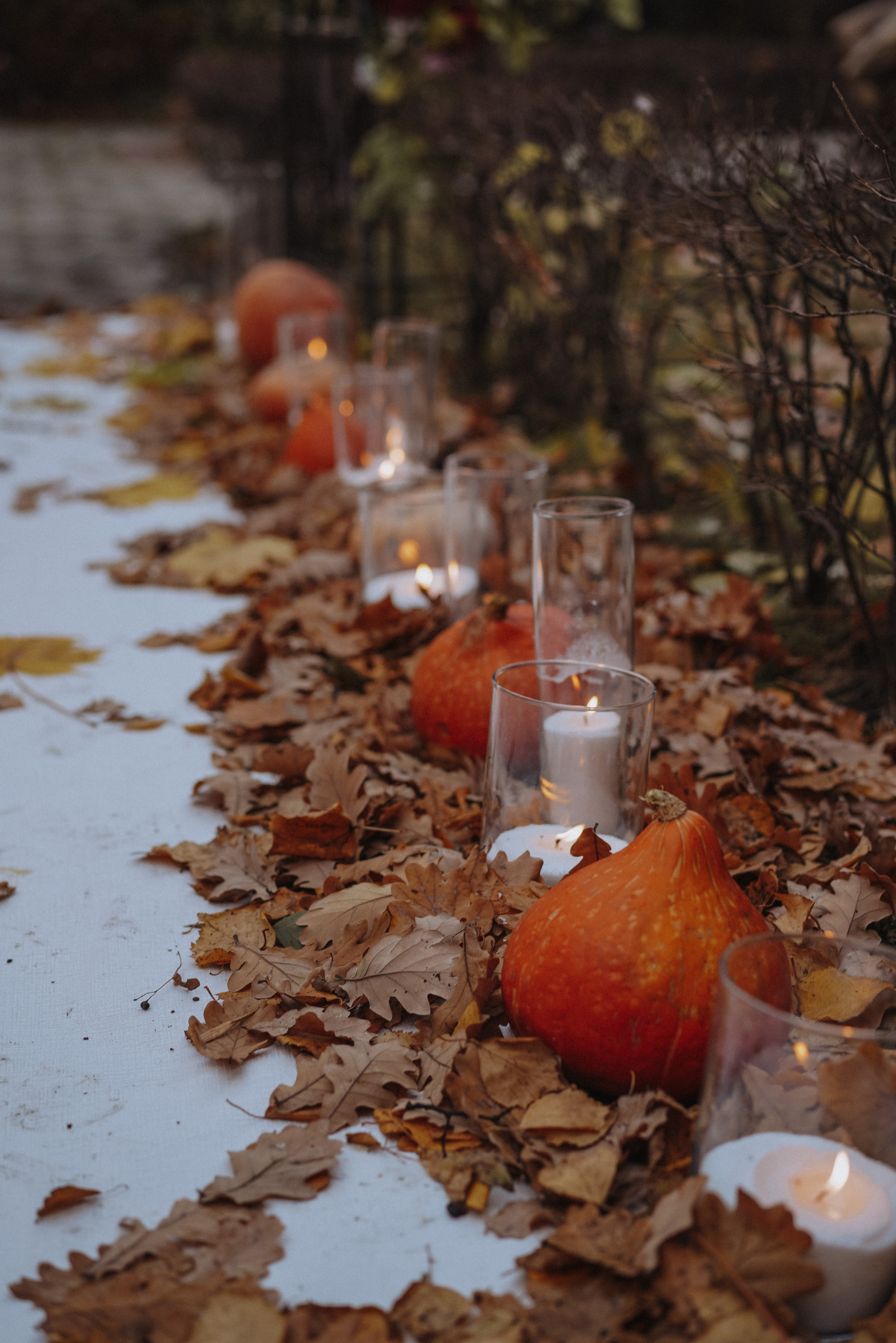 Илья и Валерия. Свадебный и семейный фотограф Ястребова Маргарита