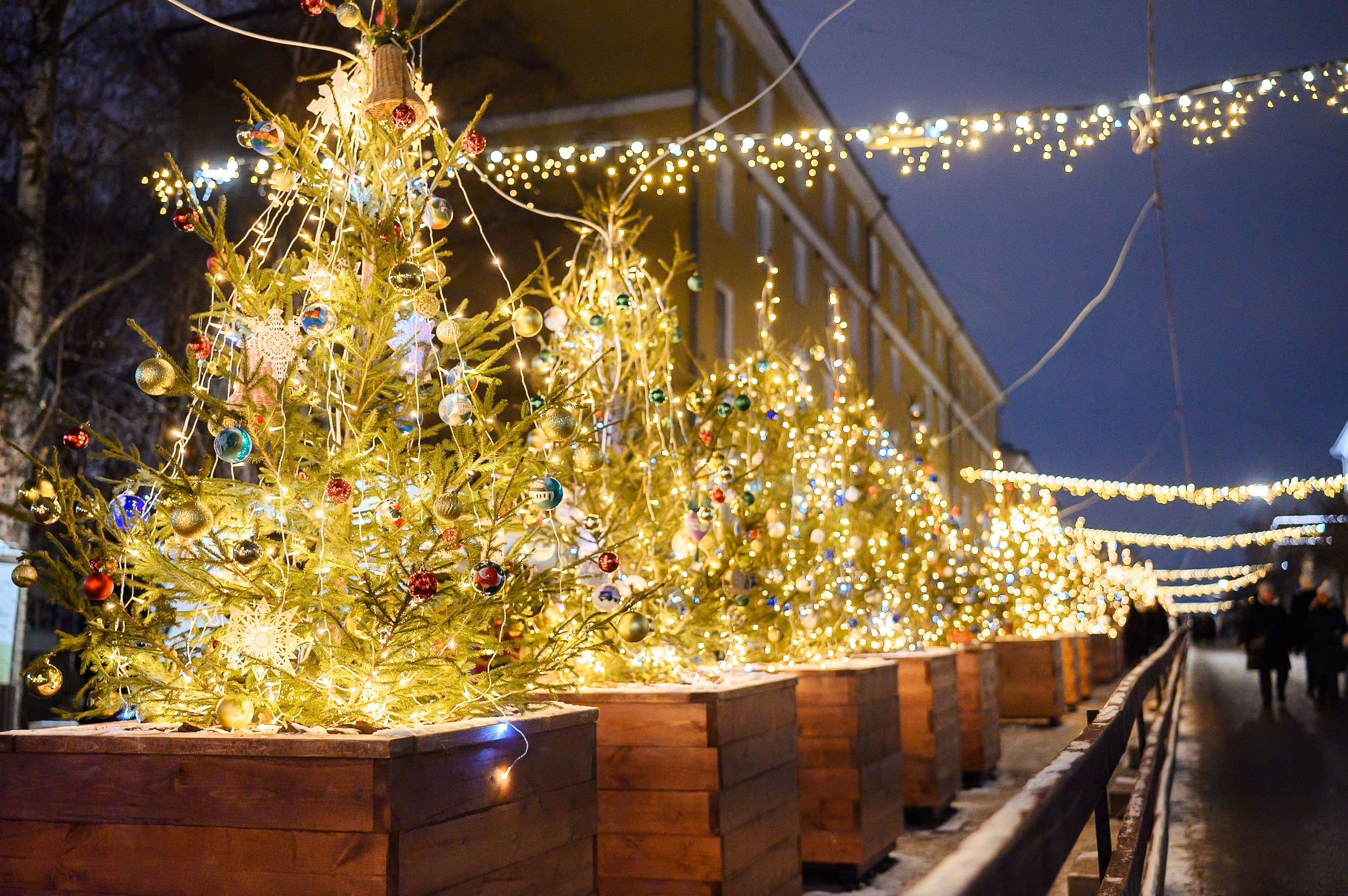 Новогодние волонтеры | Открытие Новогодней столицы Кирова 2025. Репортажный фотограф в Кирове Александр Лутошкин