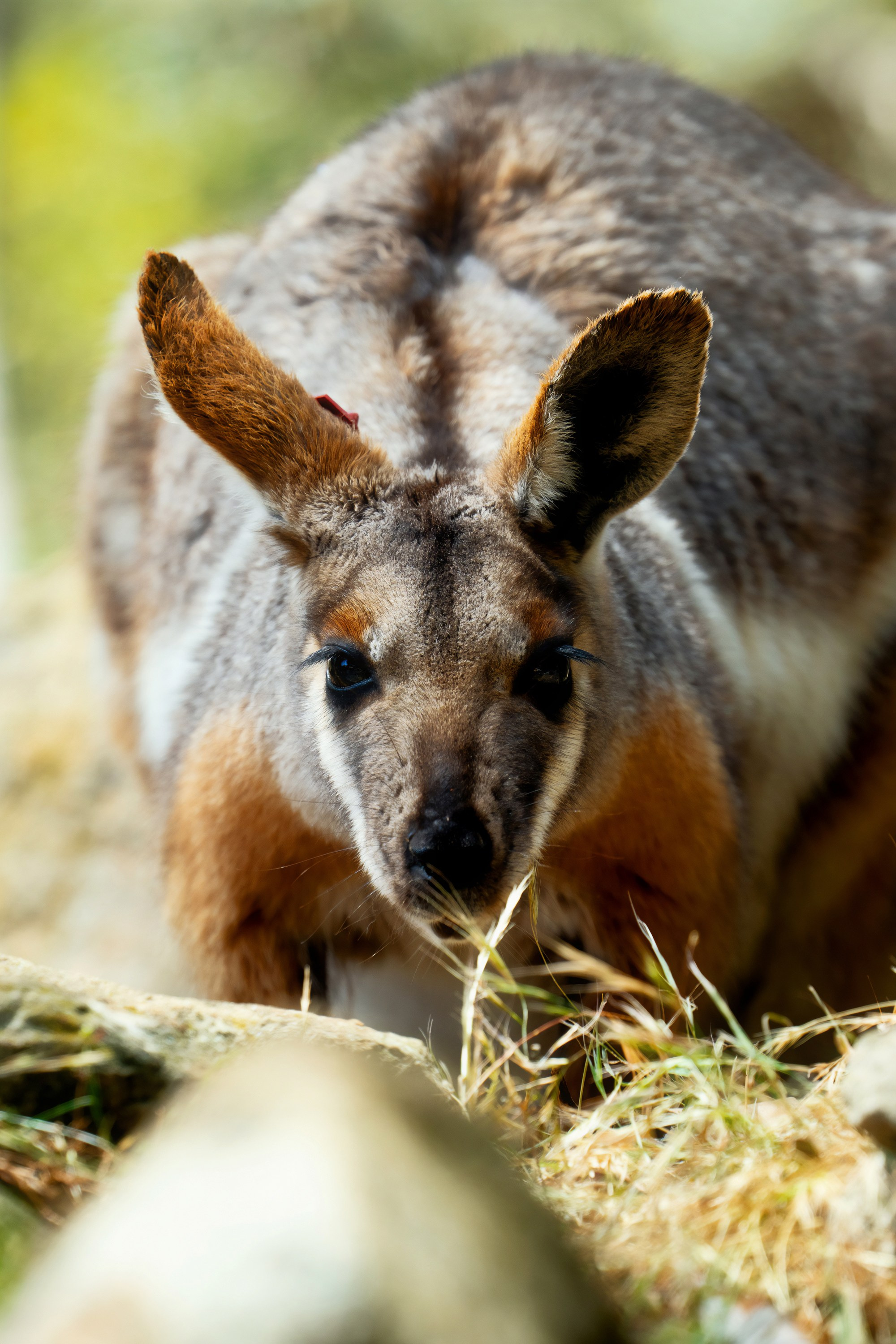 Путешествия. Фотограф в Хабаровске. Фотография за 24 часа