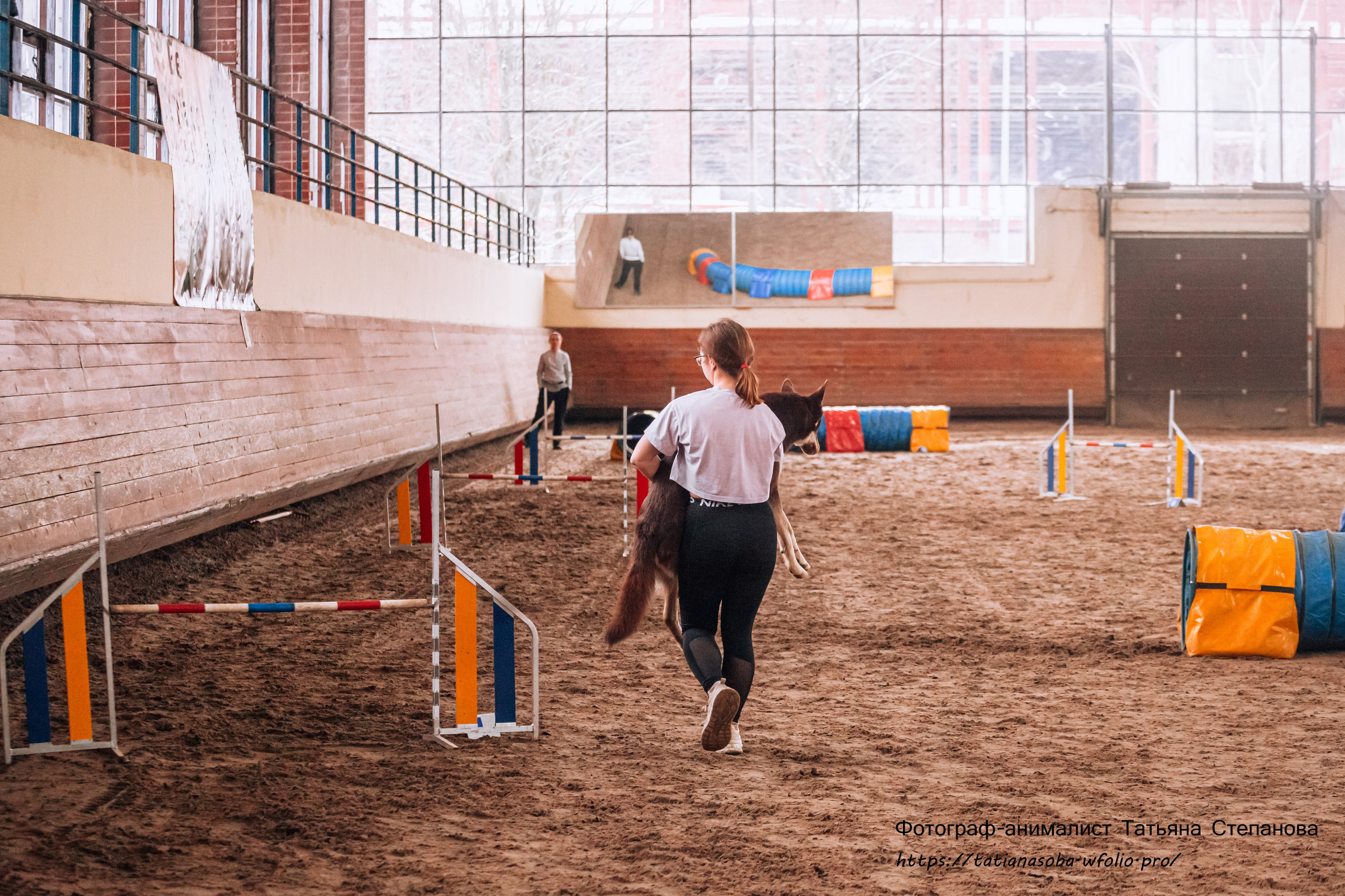 Соревнования по Аджилити 25.02.2024. Фотограф-анималист Татьяна Степанова