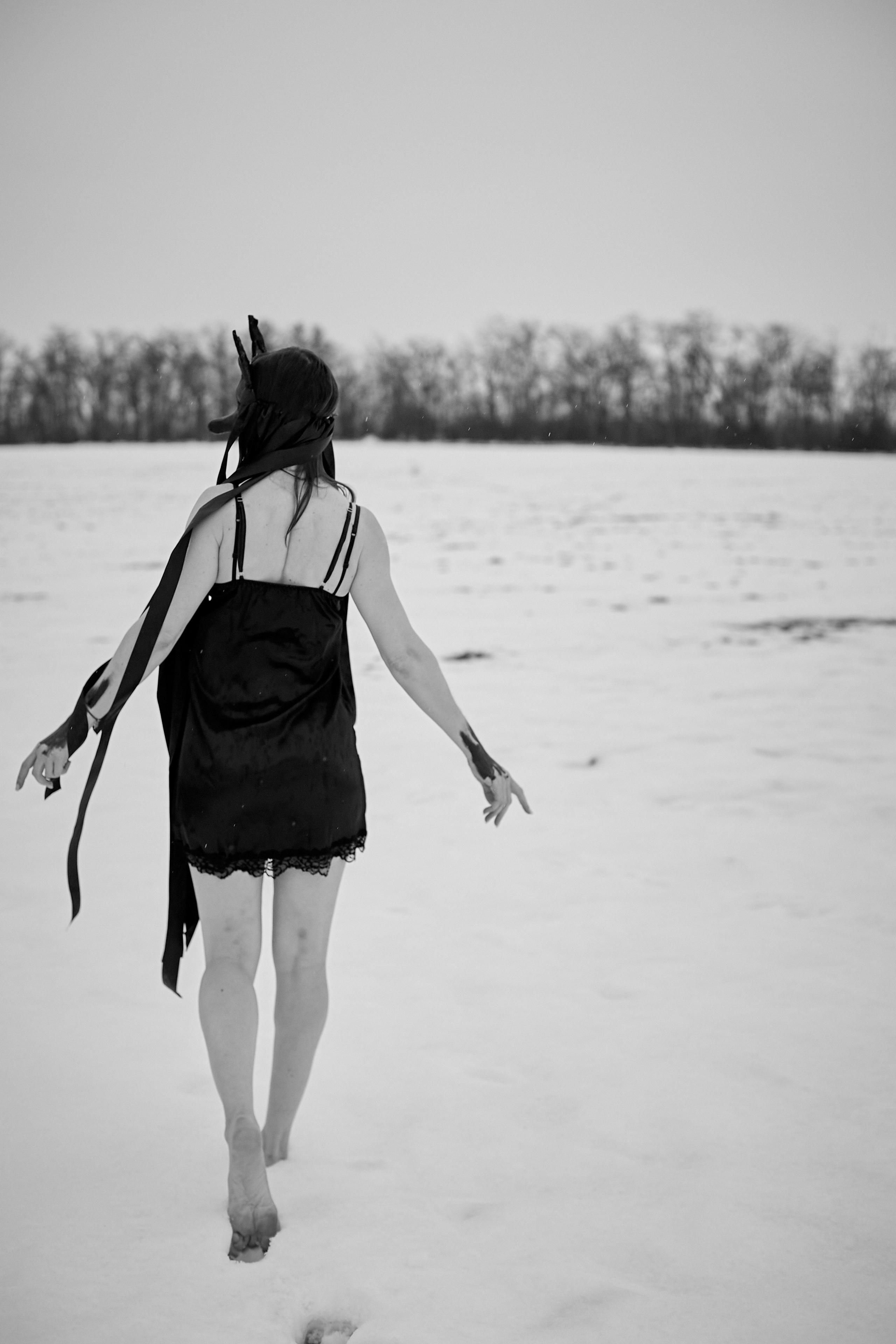 «Снежная волчица». Свадебный и креативный фотограф в ЮФО