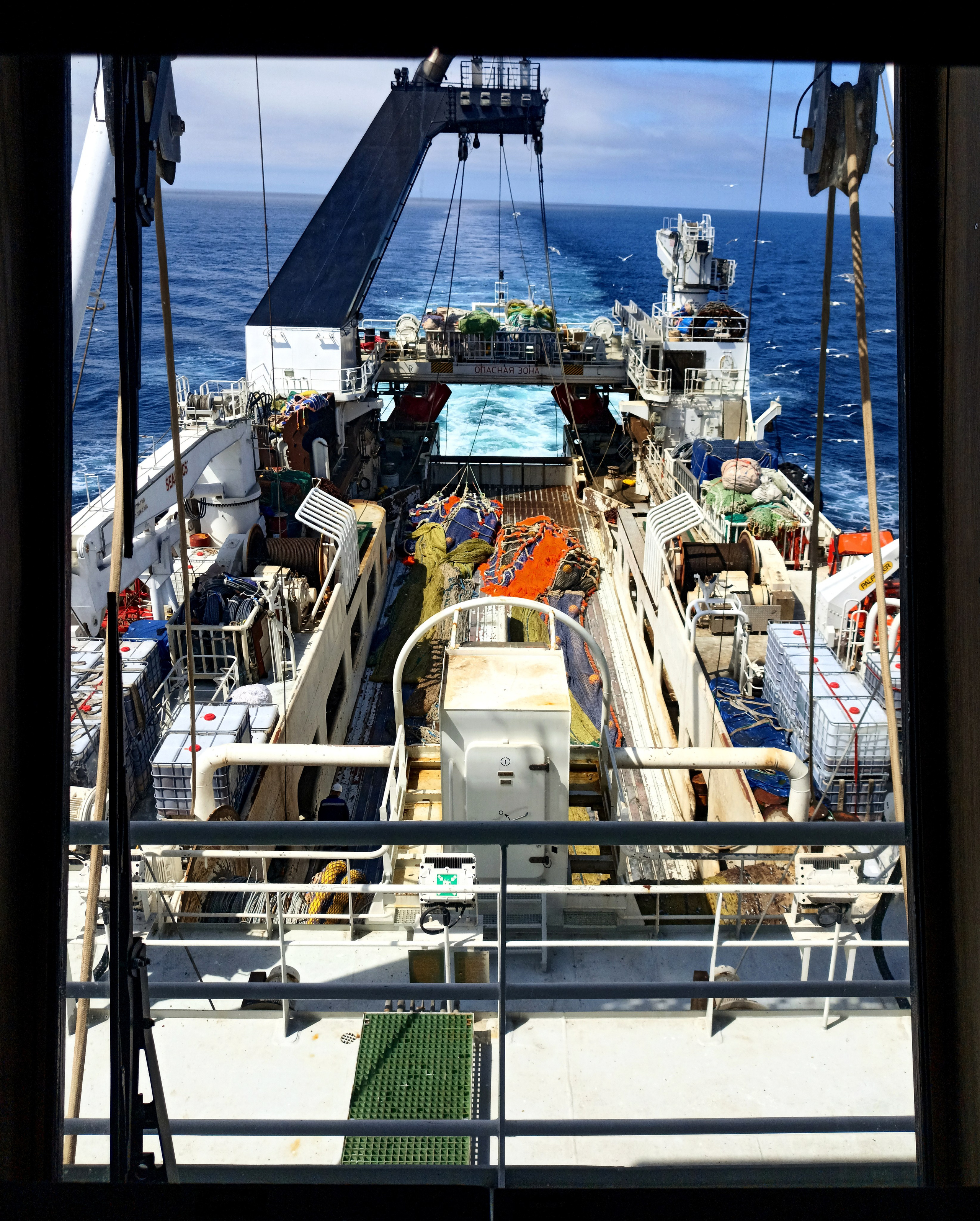 Мобильная фотография. Фотограф г. Владивосток