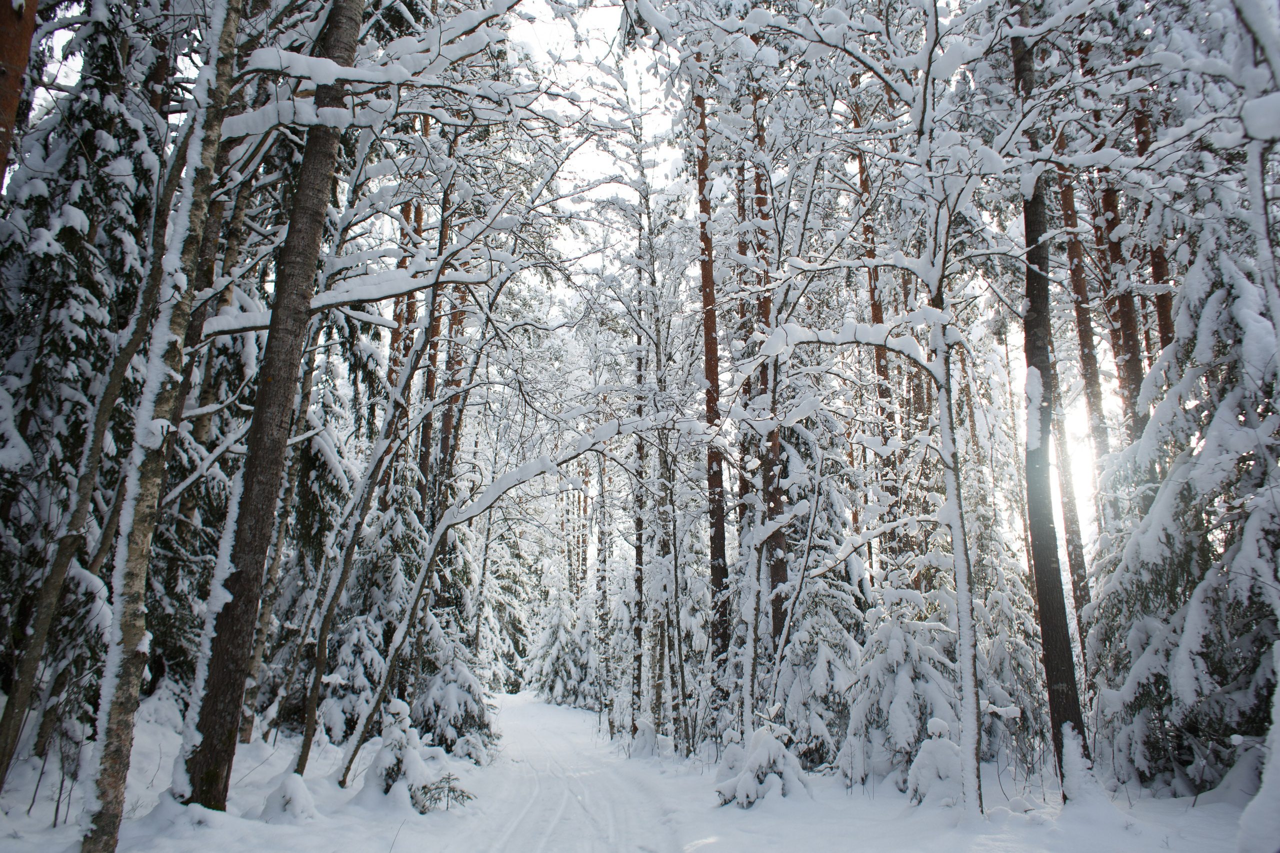 Аня и Кирилл. Портретный фотограф СПб — Ира Волкова